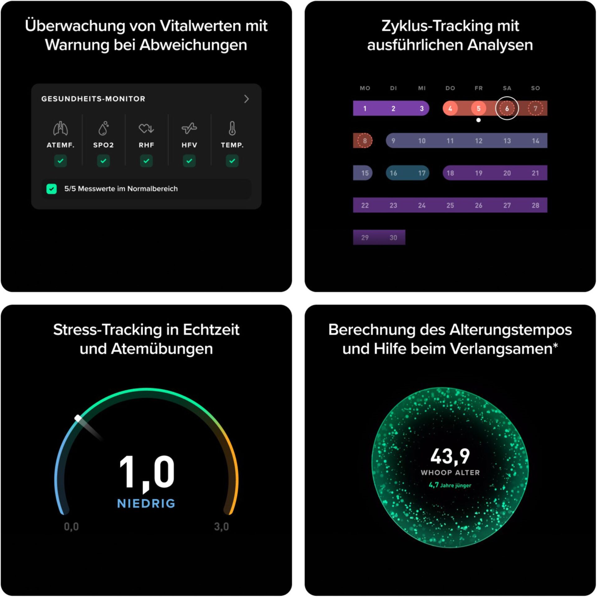 Vitalwerte, Monitor, Gesundheitsdaten, Zyklus-Tracking, Stressmessung