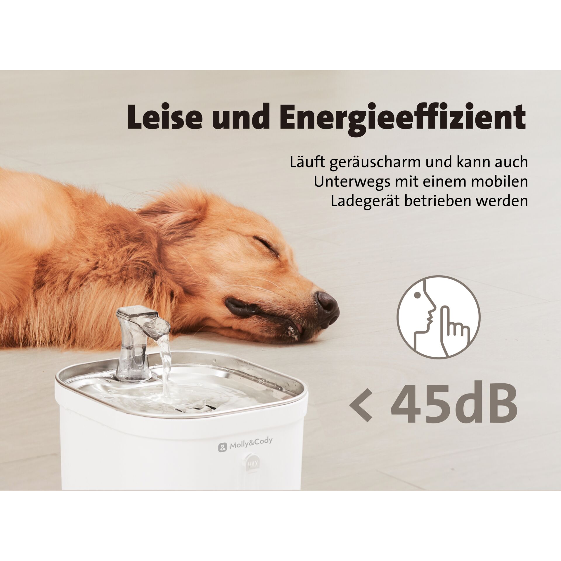 Springbrunnen, Wasser, Hund, Trinkbrunnen, Golden Retriever
