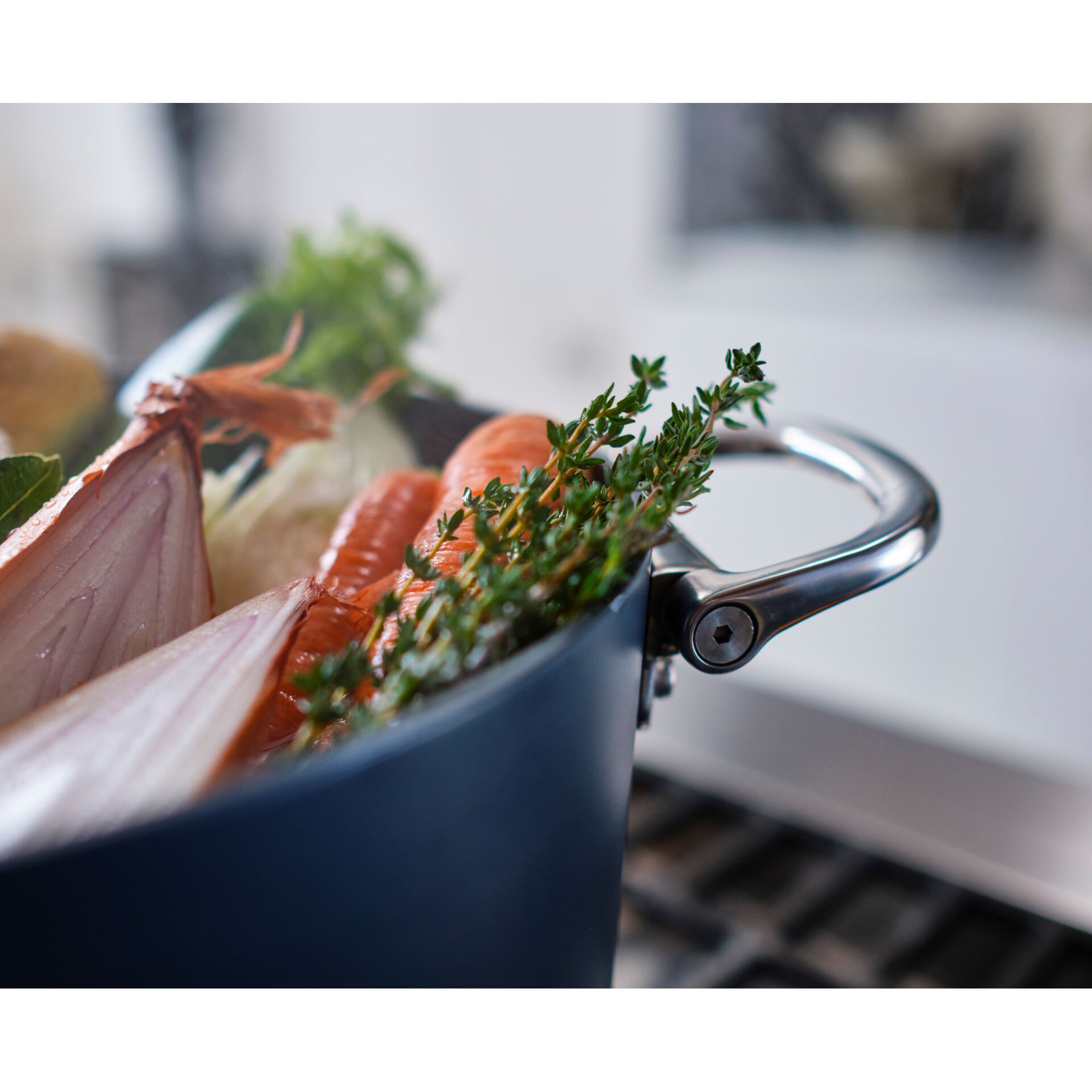 Kochtopf, Kochgeschirr, Pflanze