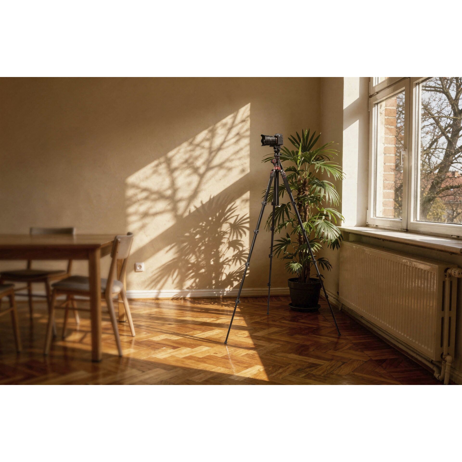 Drinnen, Innenarchitektur, Lampe, Pflanze, Fußboden