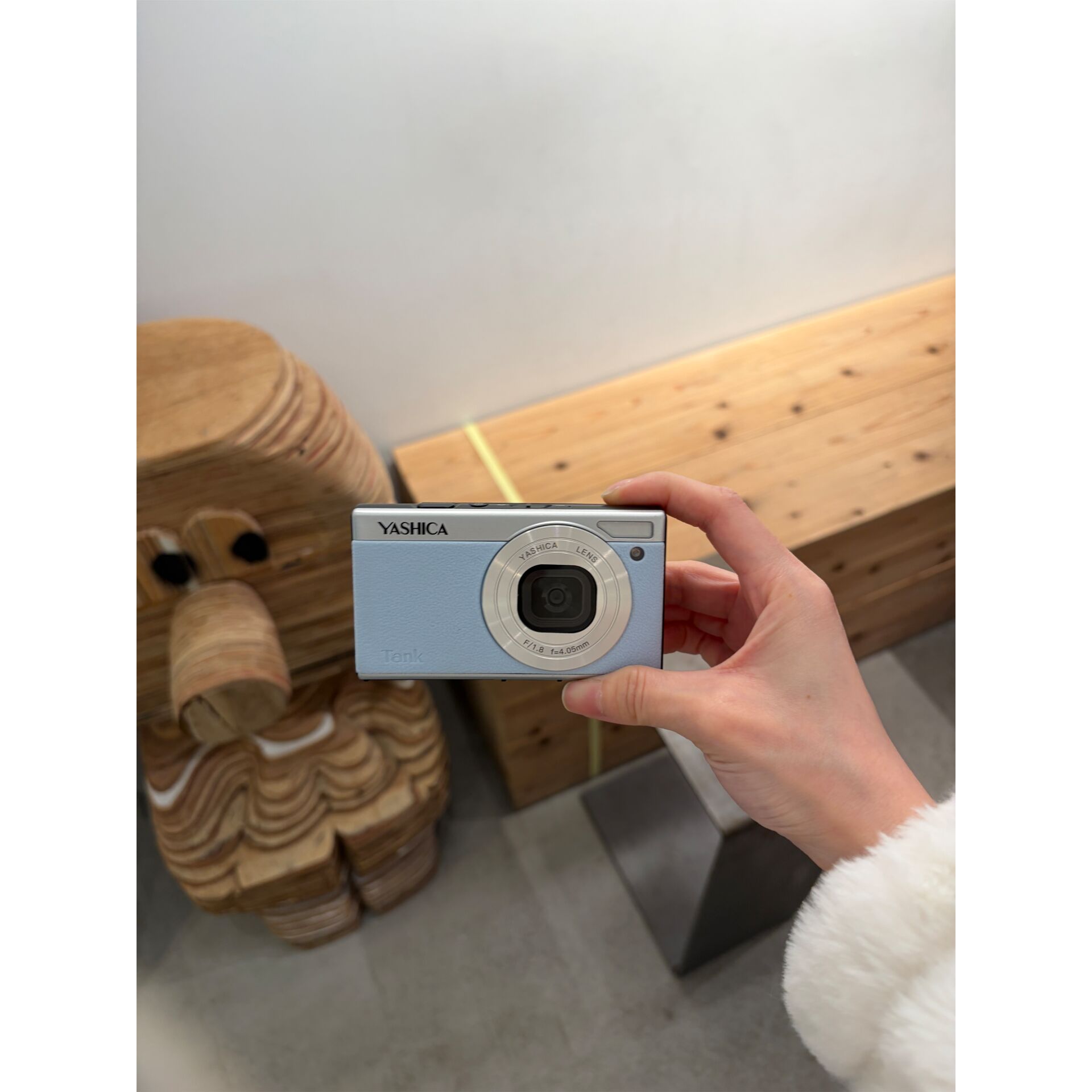 Kamera, Yashica, Kompaktkamera, klein, Linsenrad