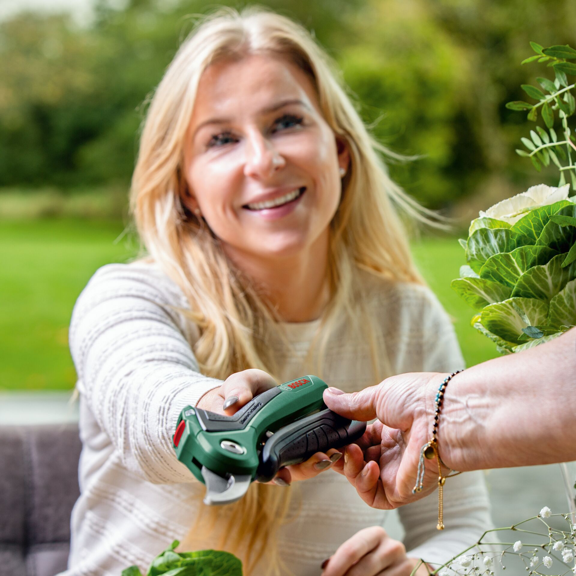Garten, Natur, Draußen, Fotografie, Gartenarbeit