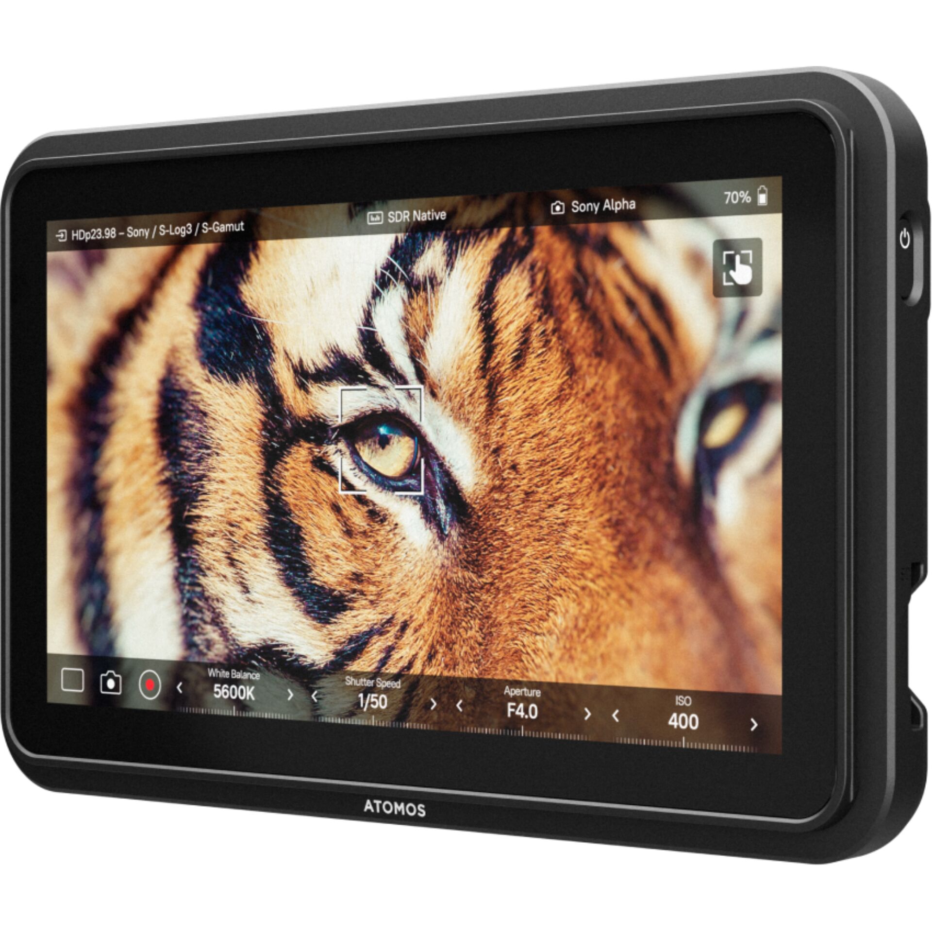 monitor, Fieldmonitor, Anzeige, Bildschirm, Atomos Monitor