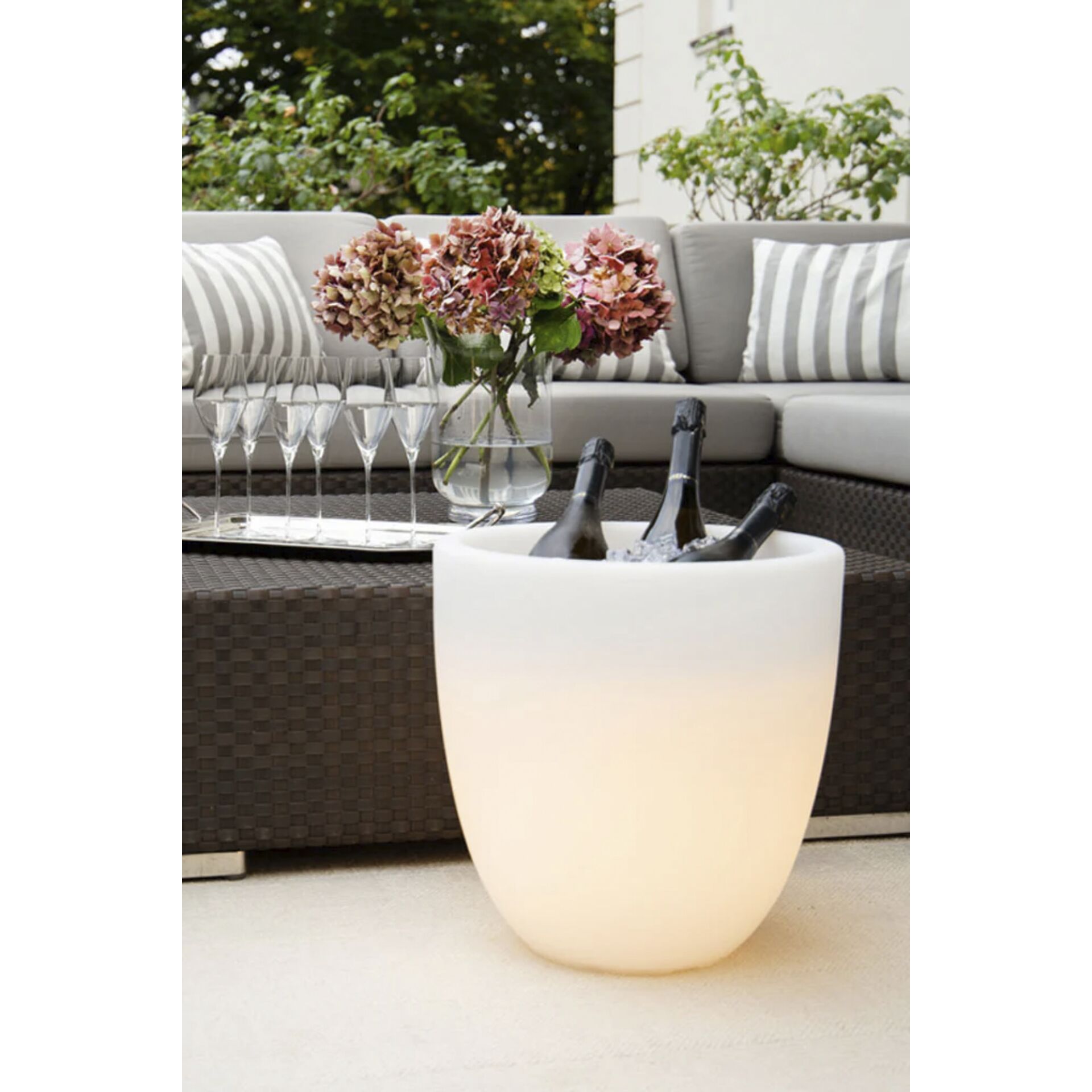 Topfpflanze, Krug, Pflanzgefäß, Töpferei, Vase