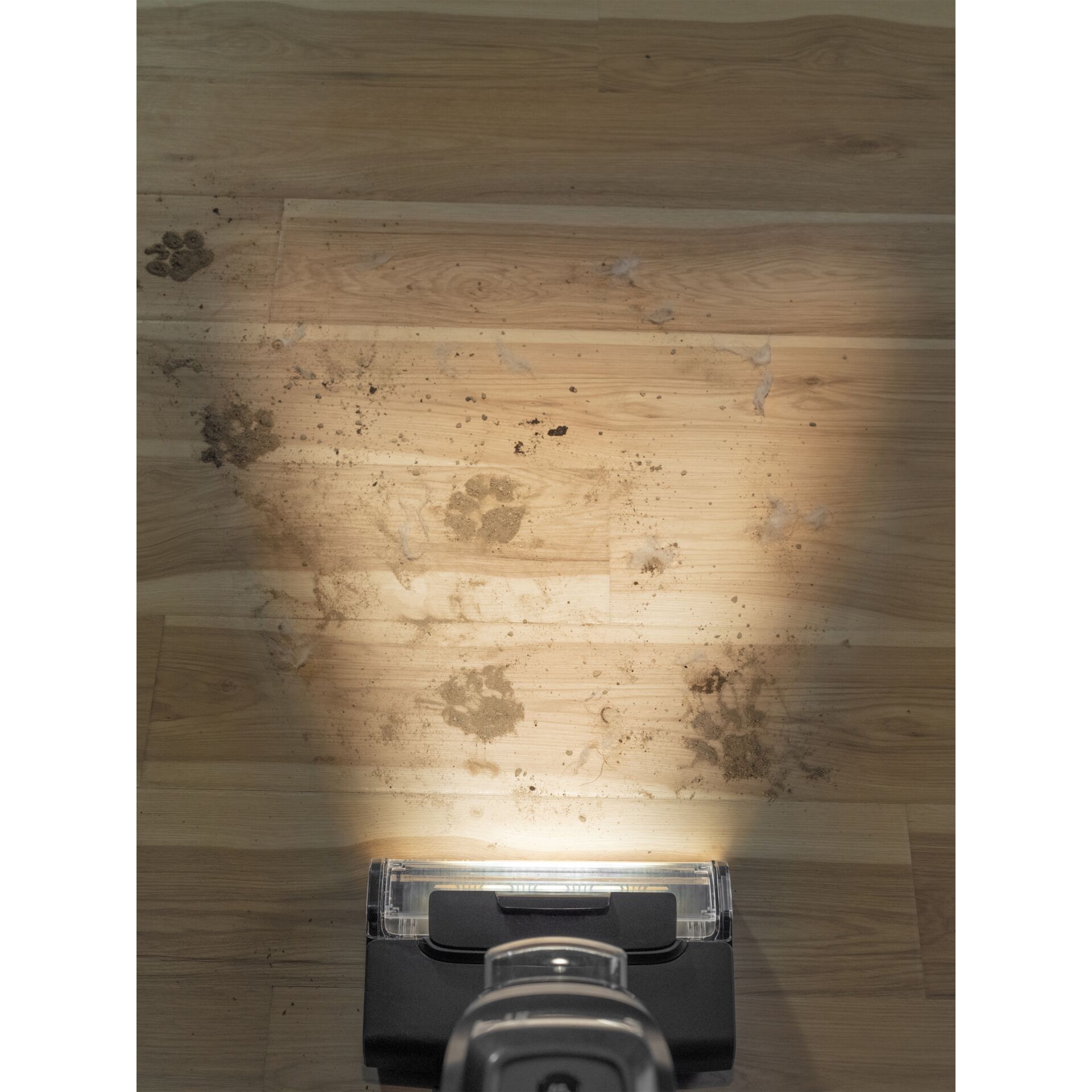 Innenarchitektur, Holz, Paneele aus Holz, Sperrholz, Bodenbeläge