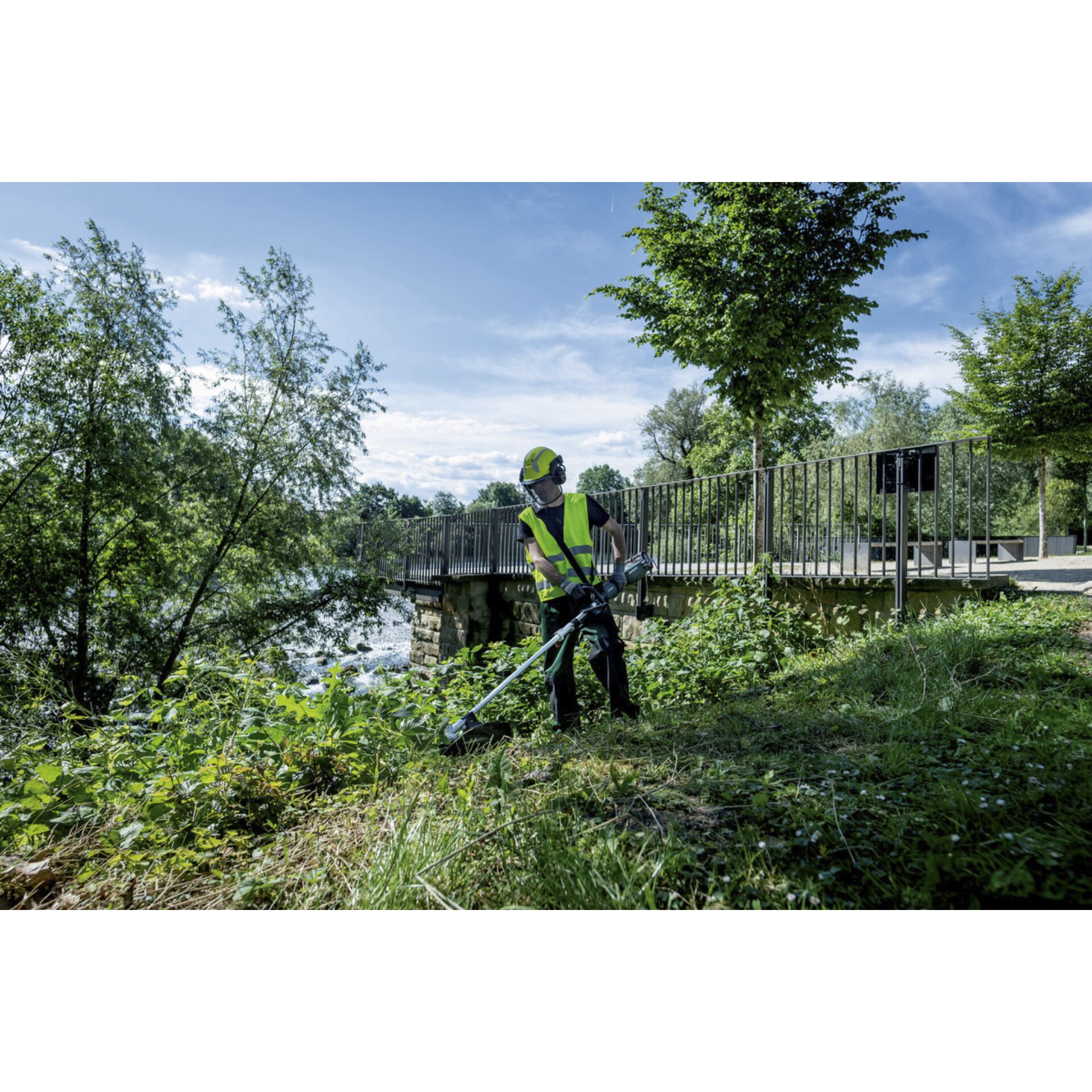 Gras, Rasen, Gehen, Vegetation, Baum
