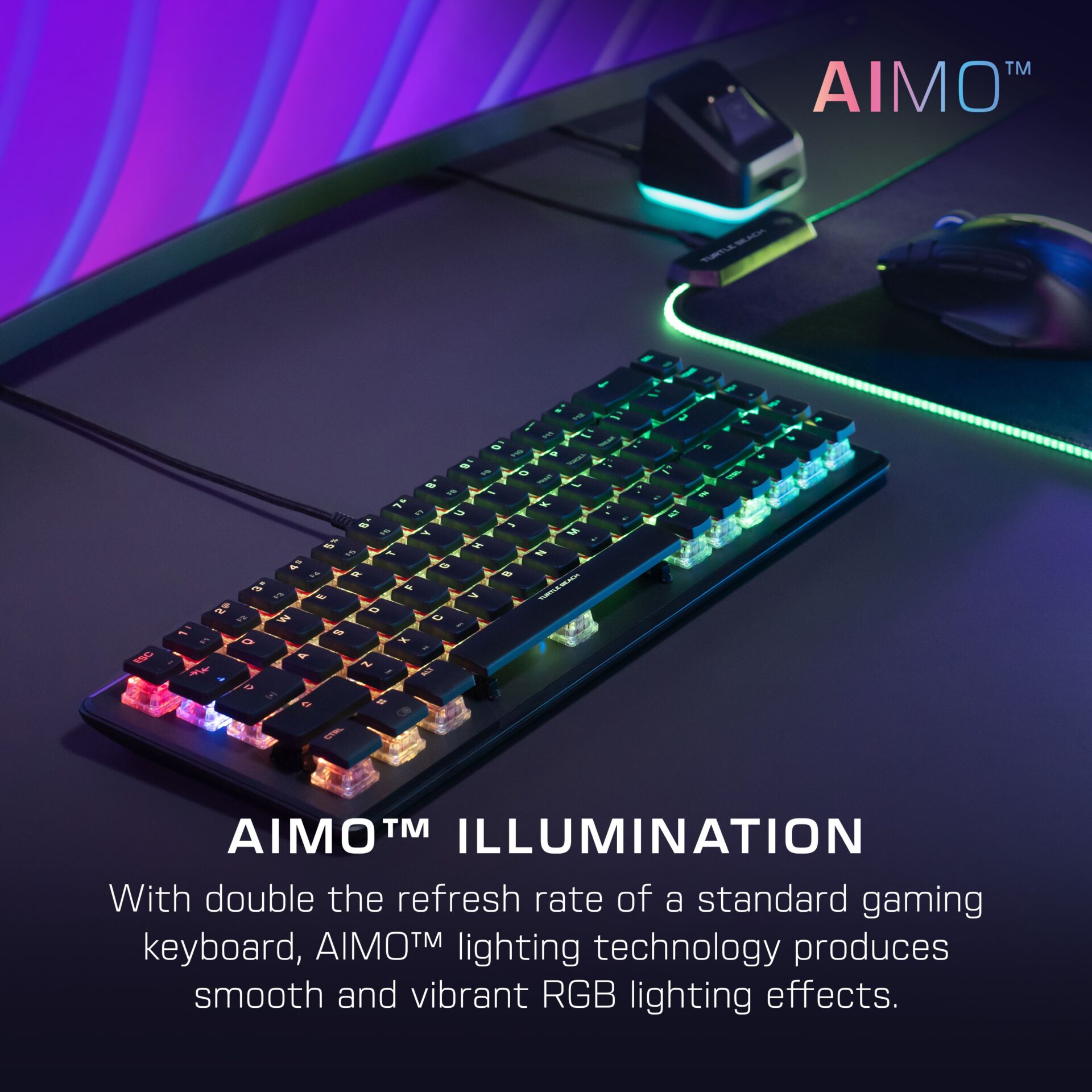 Computer, Computerausrüstung, Computer-Tastatur, Hardware, Maus