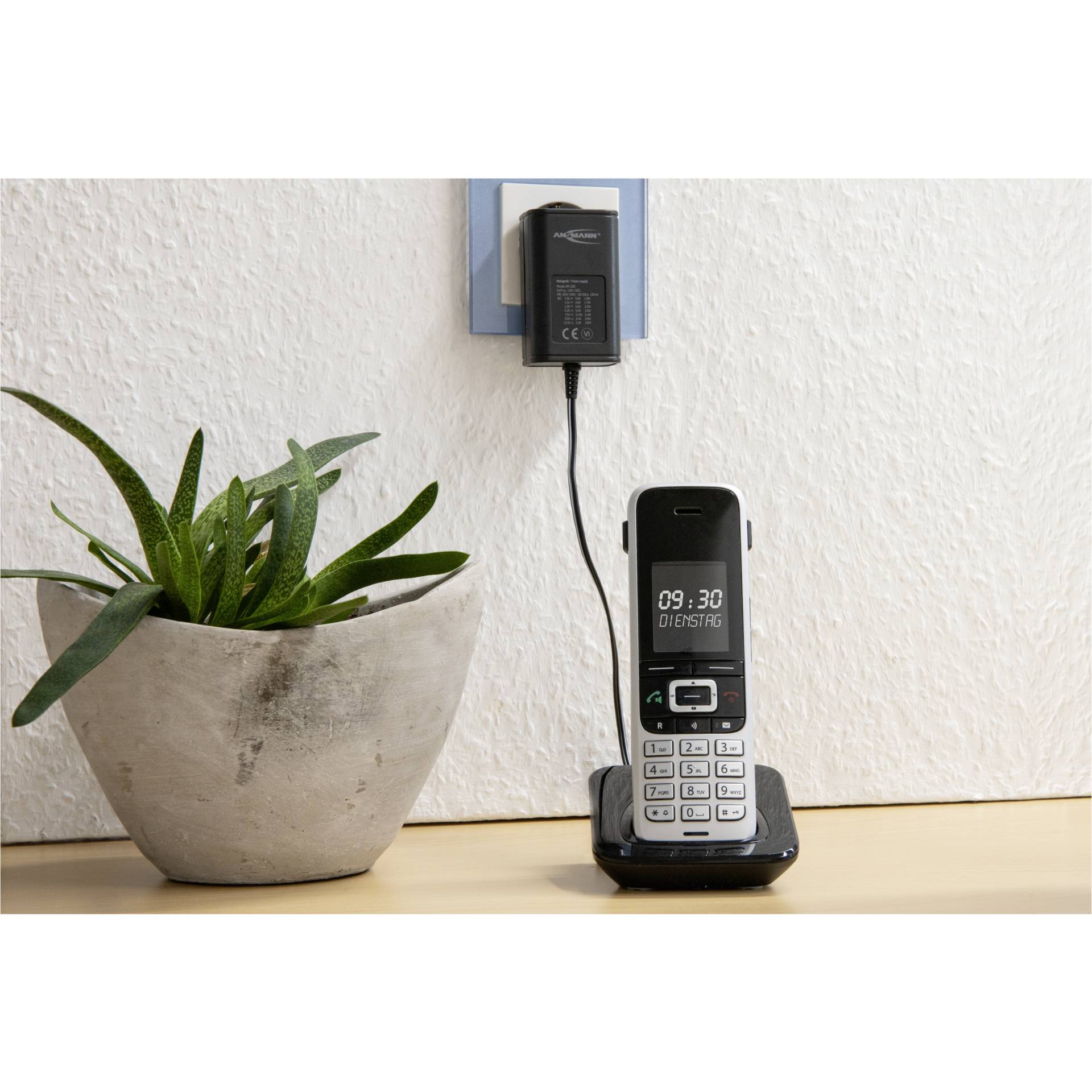 Pflanze, Elektronik, Telefon, Handy, Topfpflanze