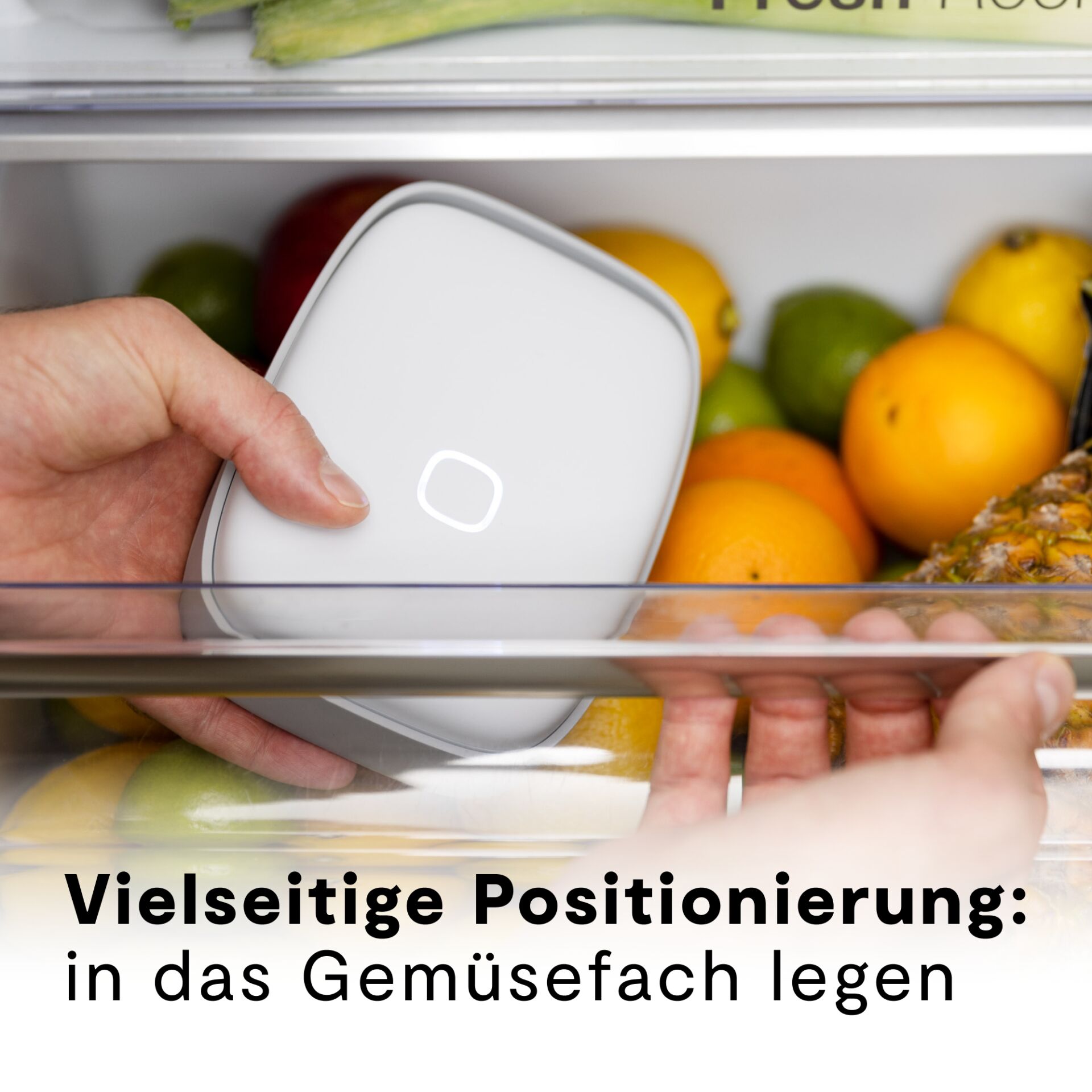 Zitrusfrucht, Obst, Produzieren, Orange, Person, Zitrusfrucht, Obst, Produzieren, Orange, Person