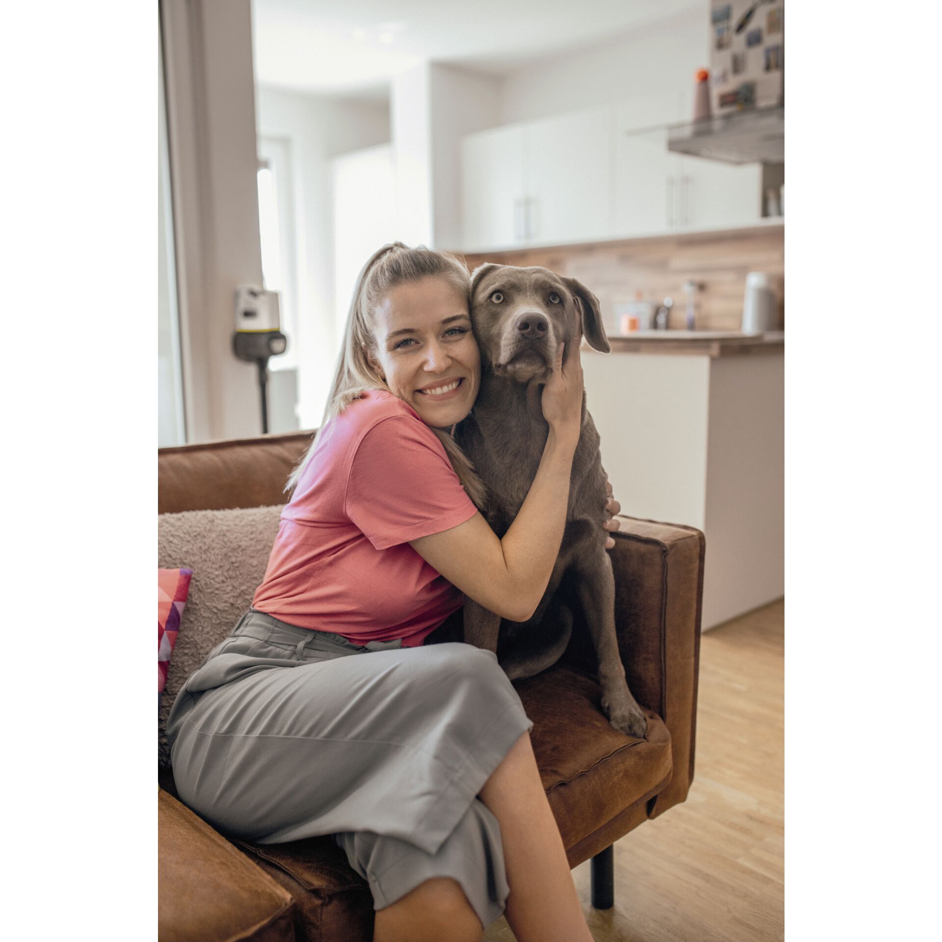 Sitzend, Innenarchitektur, Gesicht, Kopf, Hund