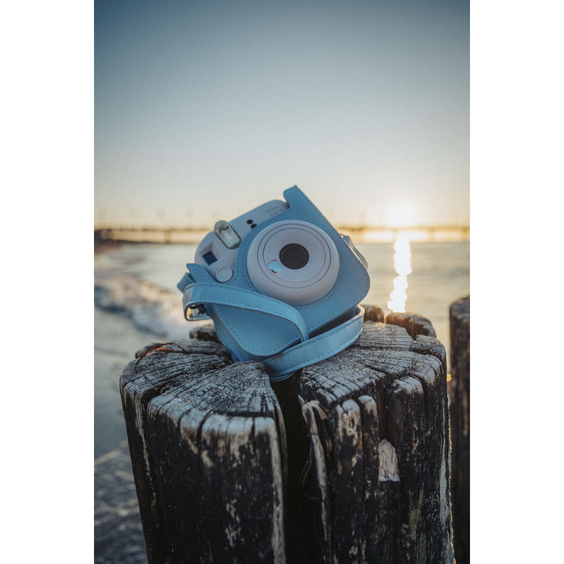 Photographie, Pflanze, Baum, Kamera, Elektronik