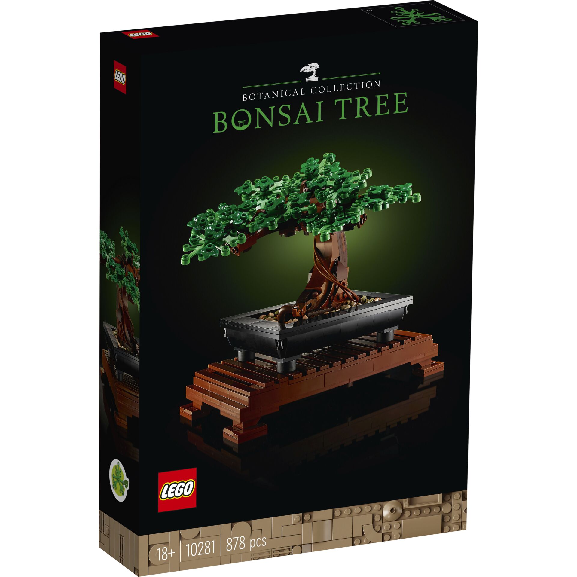 Pflanze, Pflanze im Topf, Baum, Bonsai