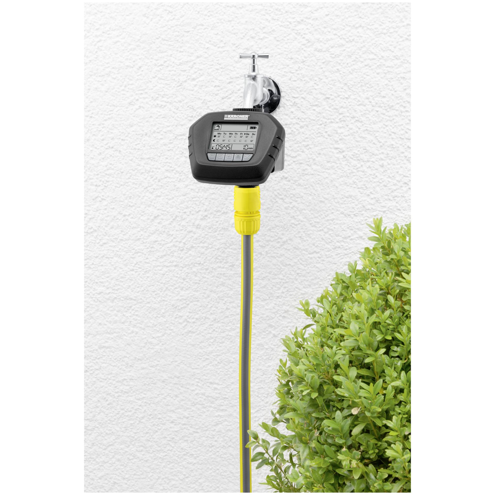 Topfpflanze, Computer-Ausrüstung, Überwachen, Bildschirm, Adapter