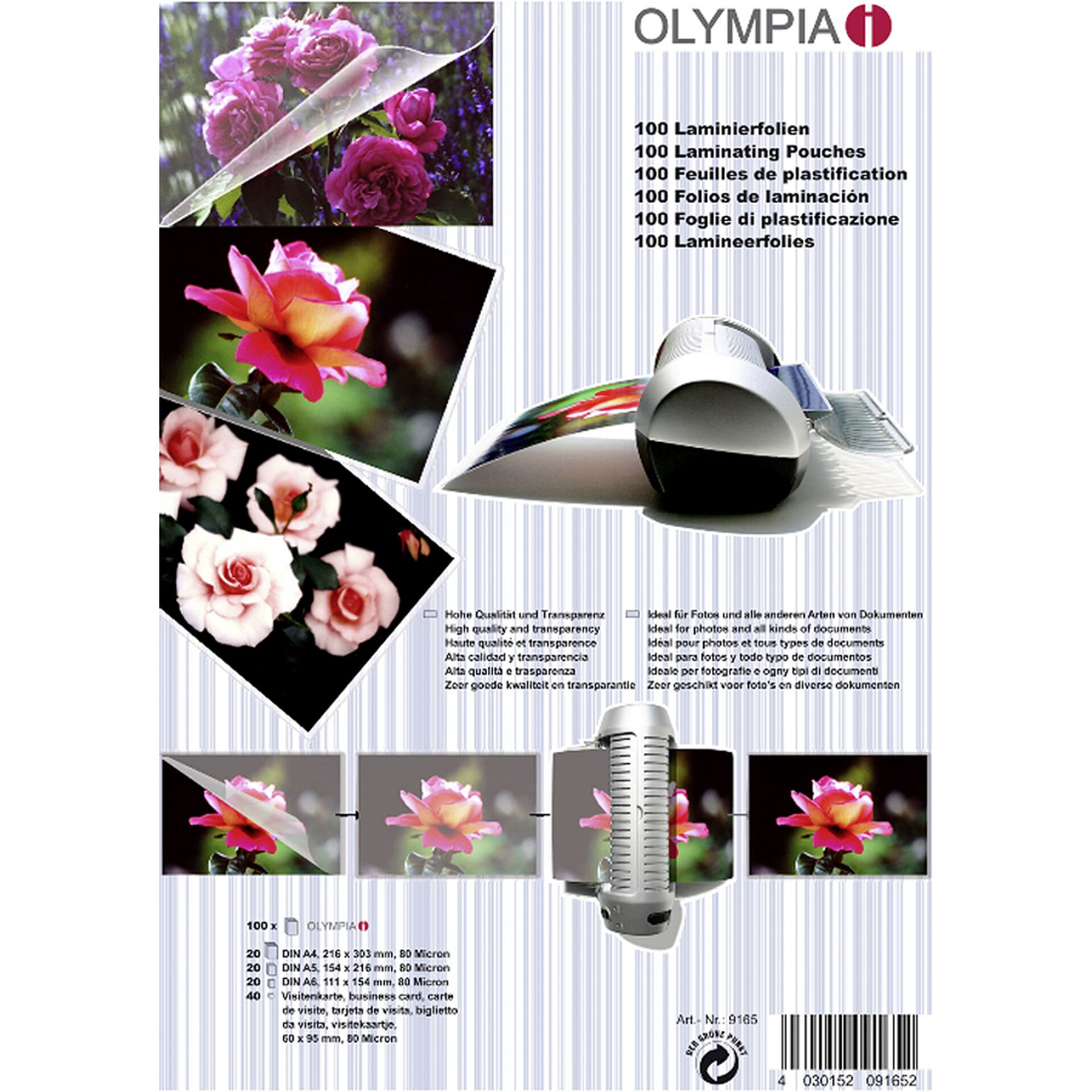 Werbung, Plakat, Blume, Pflanze, Rose