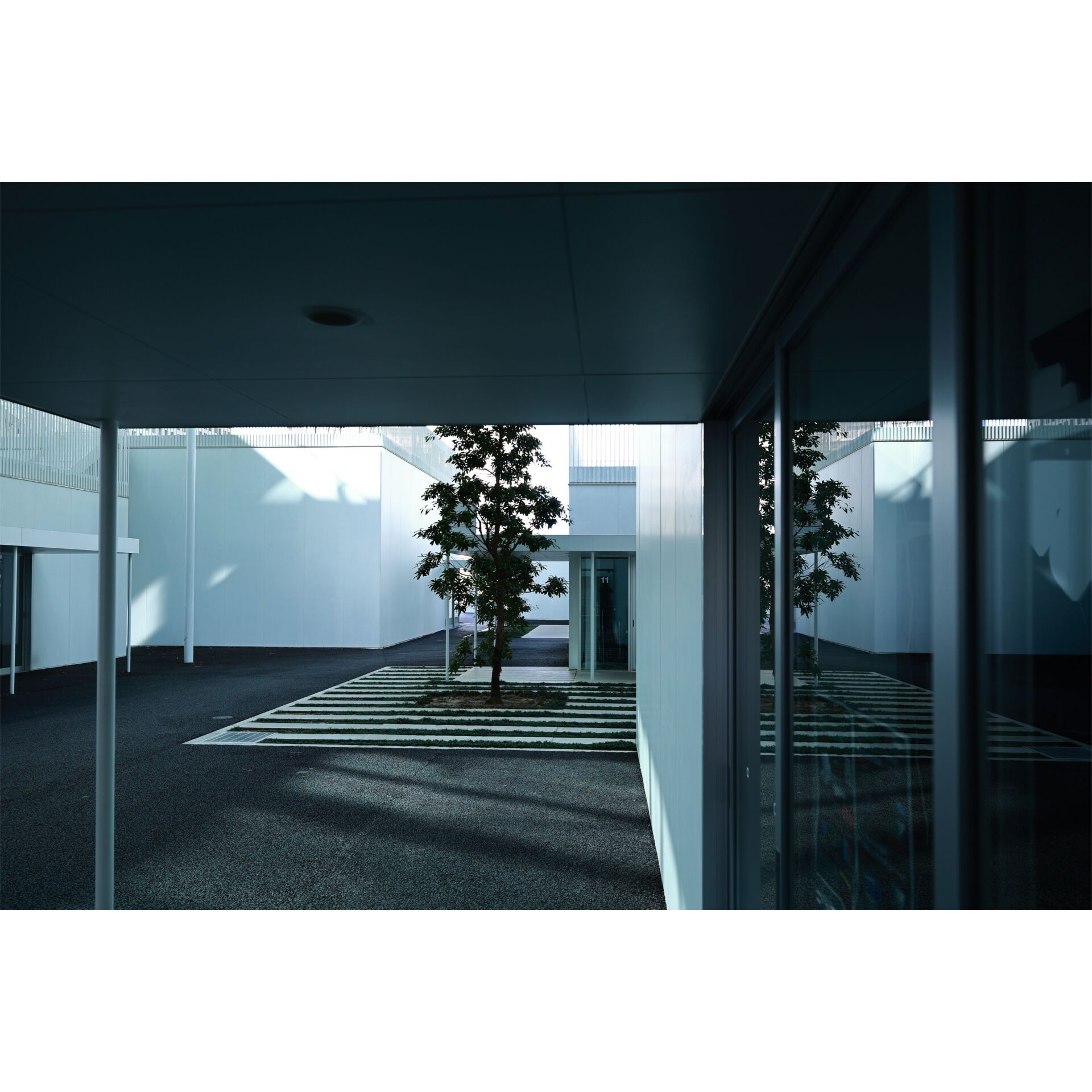 Drinnen, Innenarchitektur, Tür, Fußboden, Baum