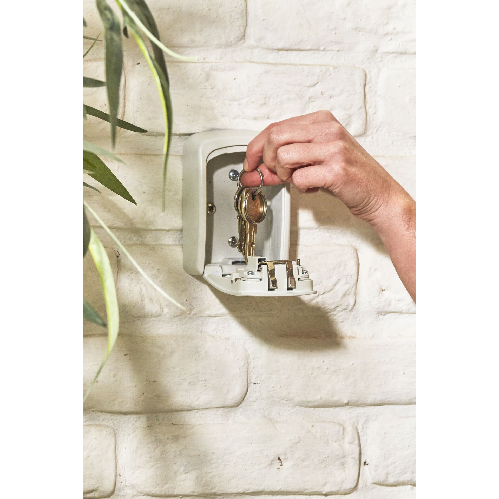 Becken, Architektur, Springbrunnen, Wasser