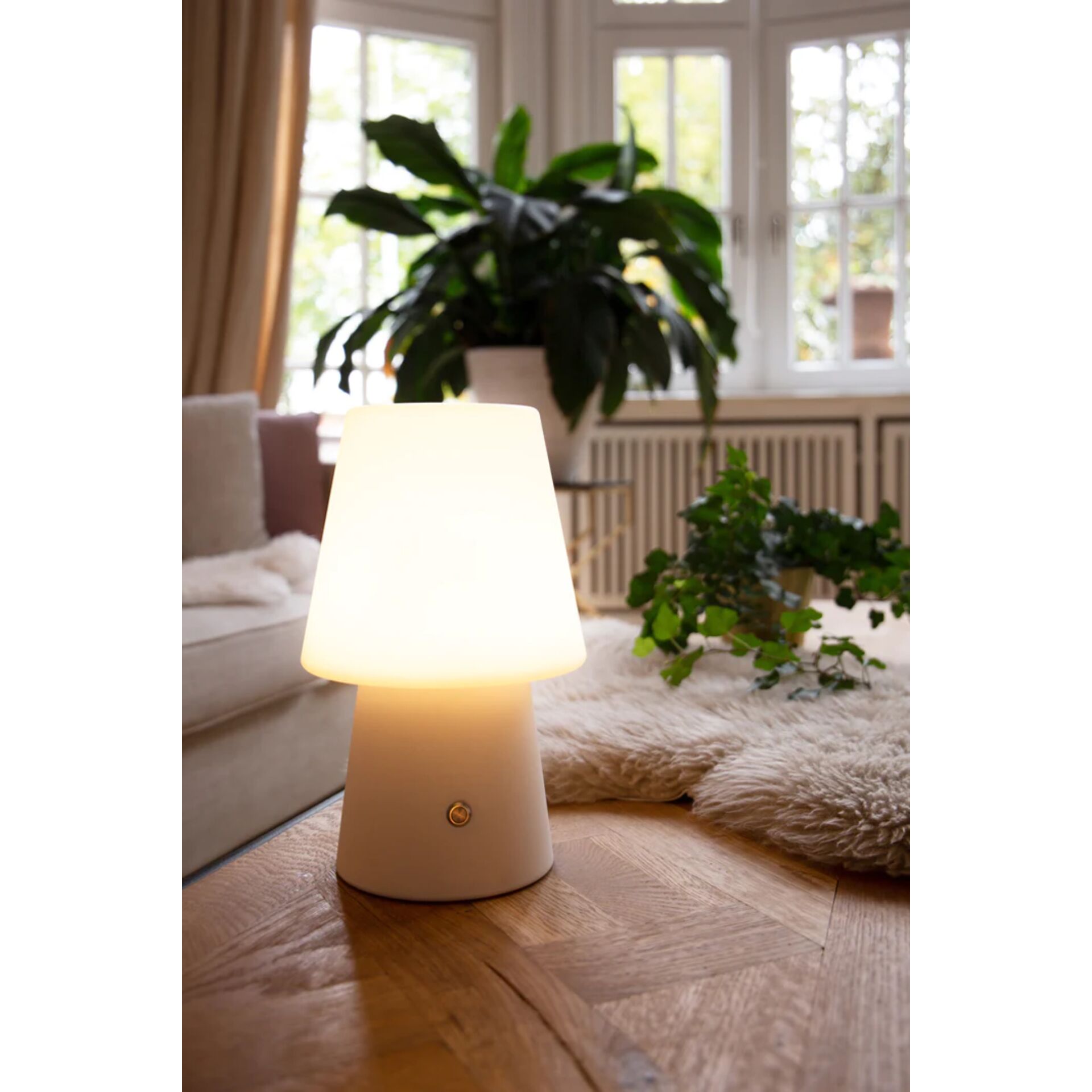 Lampe, Pflanze, Drinnen, Innenarchitektur