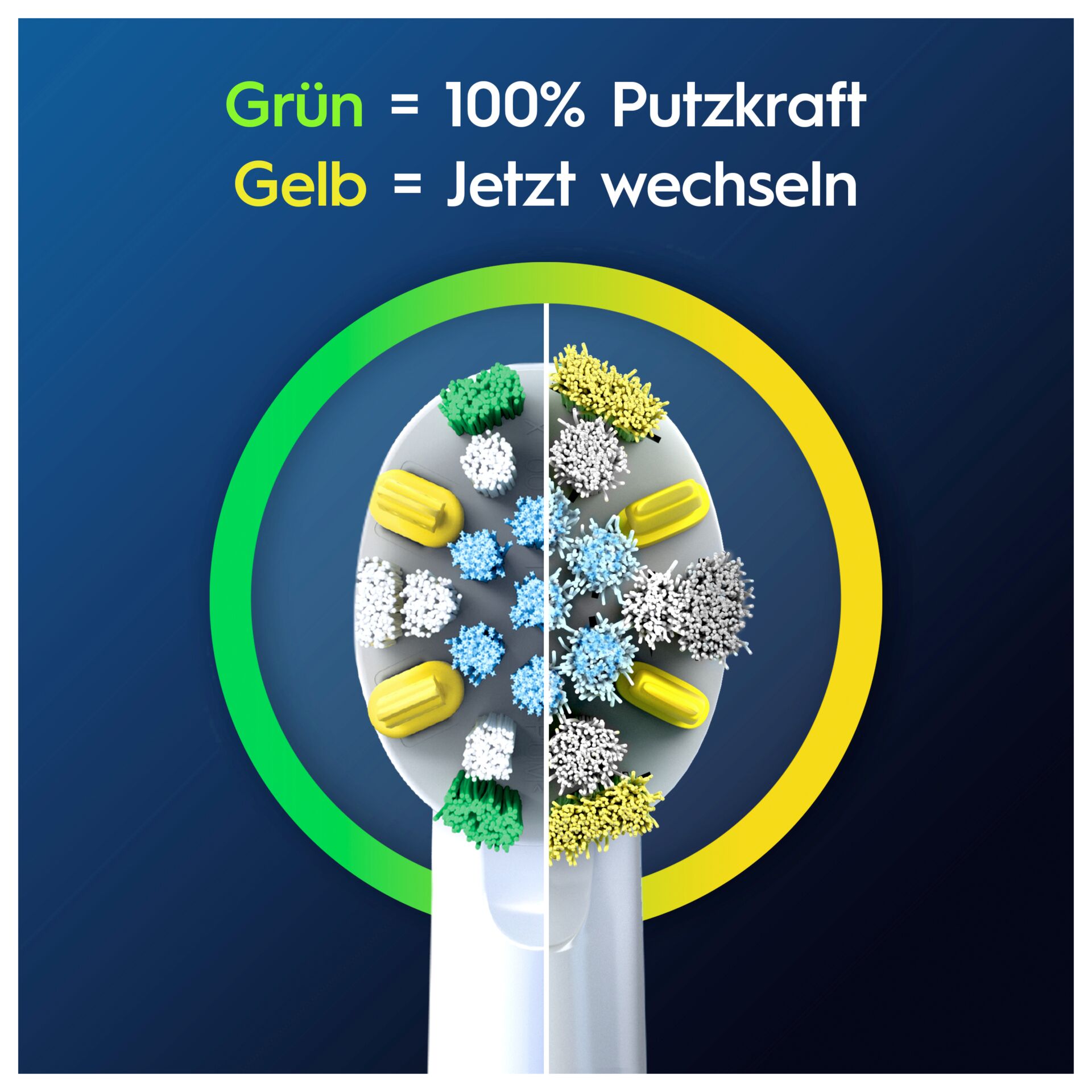 Putzwerkzeug, Reiniger, Bürstenkopf, Kopf mit Borsten, Schraub-Deckel
