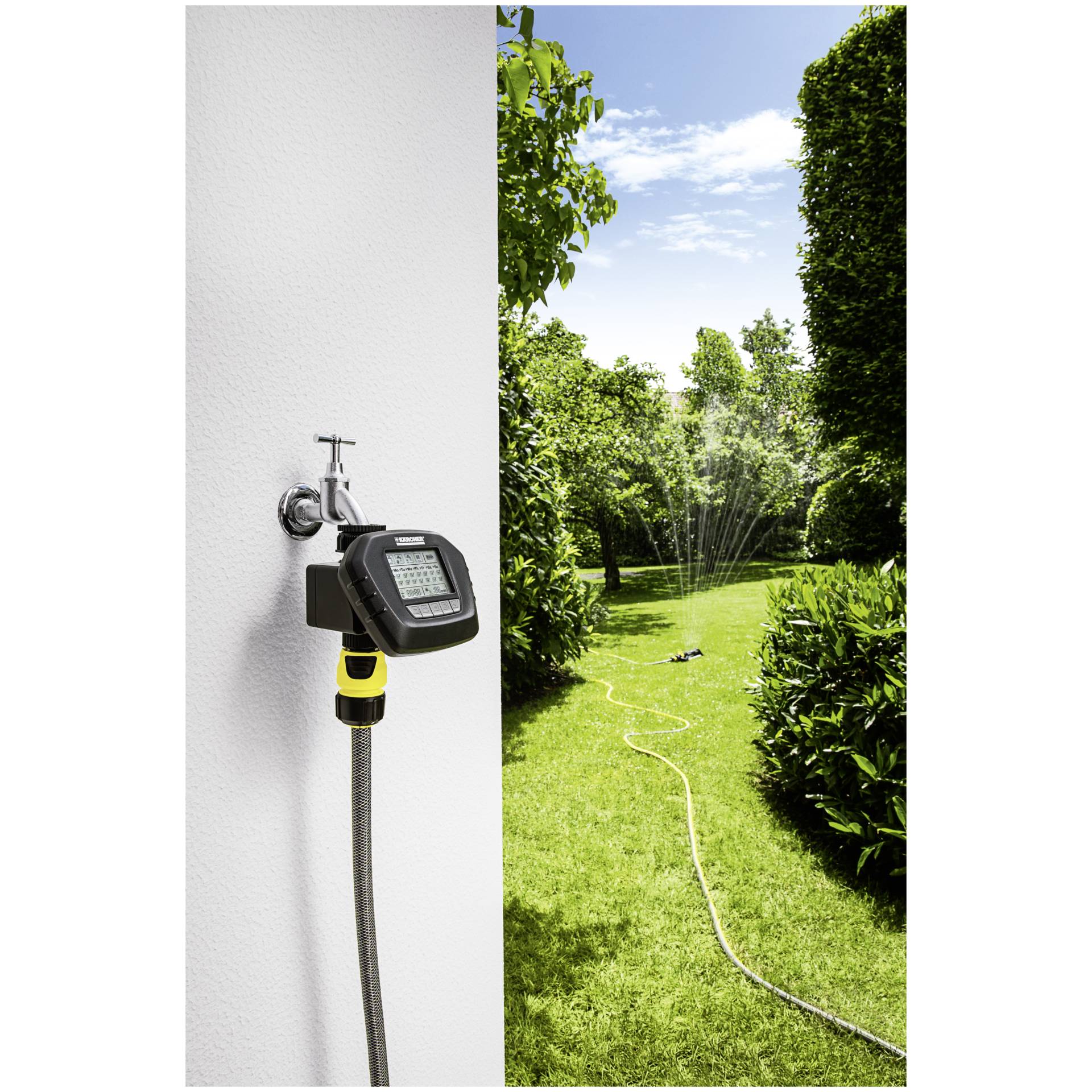 Gras, Hinterhof, Rasen, Garten, Wasser