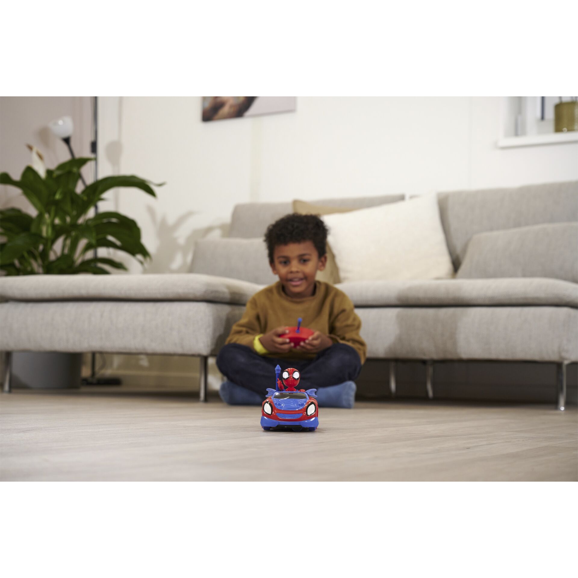 Couch, Topfpflanze, Wohnzimmer, Innenarchitektur, Sitzen