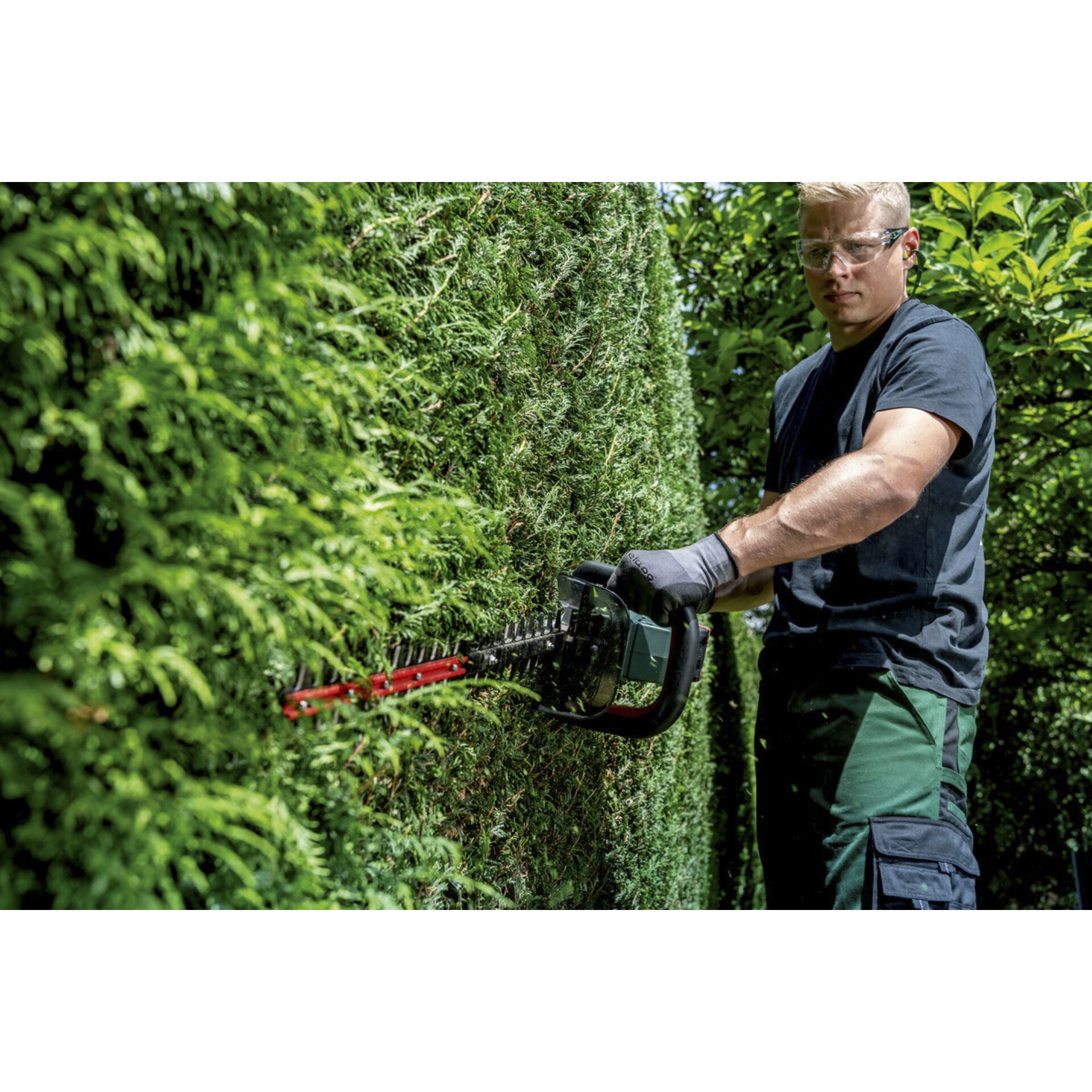 Gras, Garten, Rasen, Mann, Person