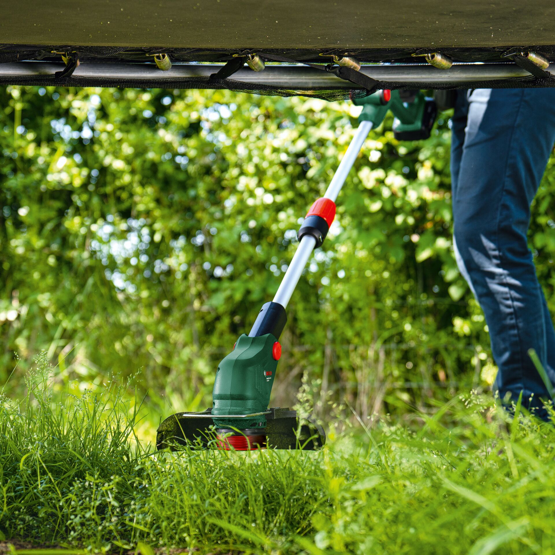 Gras, Rasen, Gerät, Rasenmäher, Rasen mähen