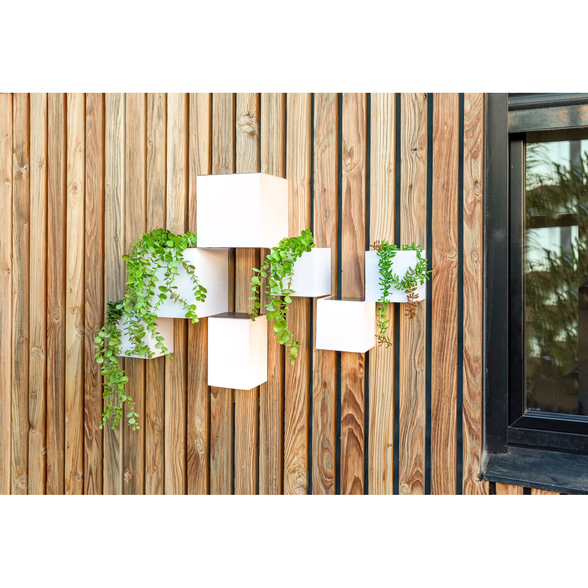 Innenarchitektur, Pflanze im Topf, Pflanzgefäß, Töpferei, Holz