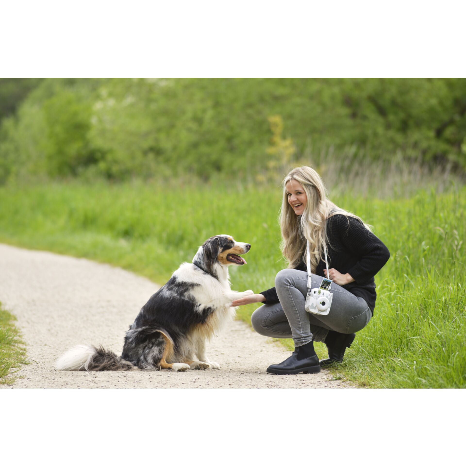 Erwachsener, Weiblich, Person, Frau, Hund