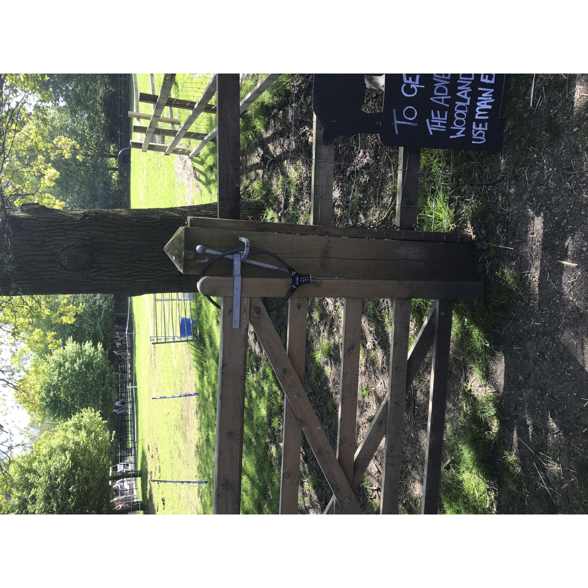 Drinnen, Innenarchitektur, Veranda, Draußen, Baum