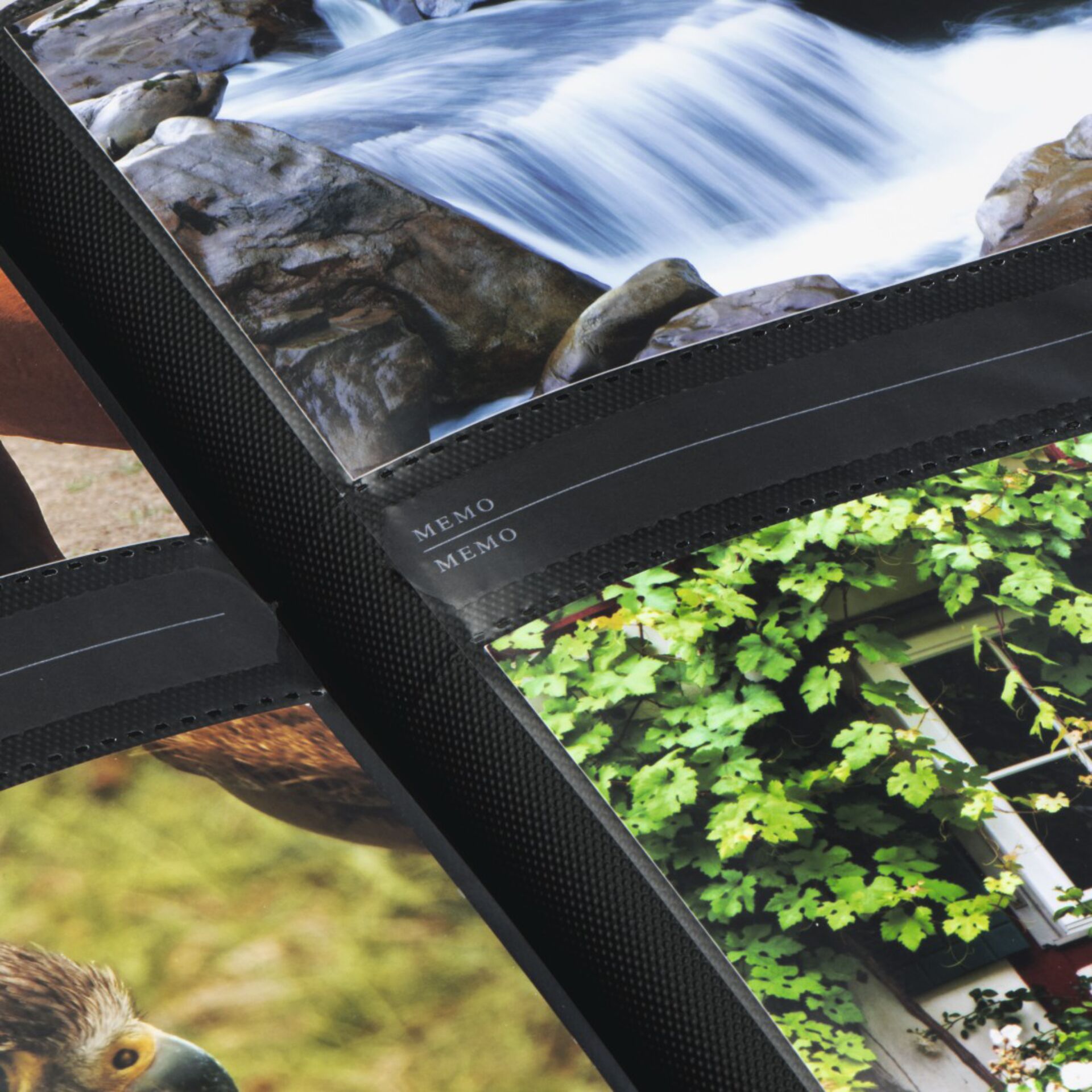 Blatt, Vegetation, Schnabel, Draußen, Natur