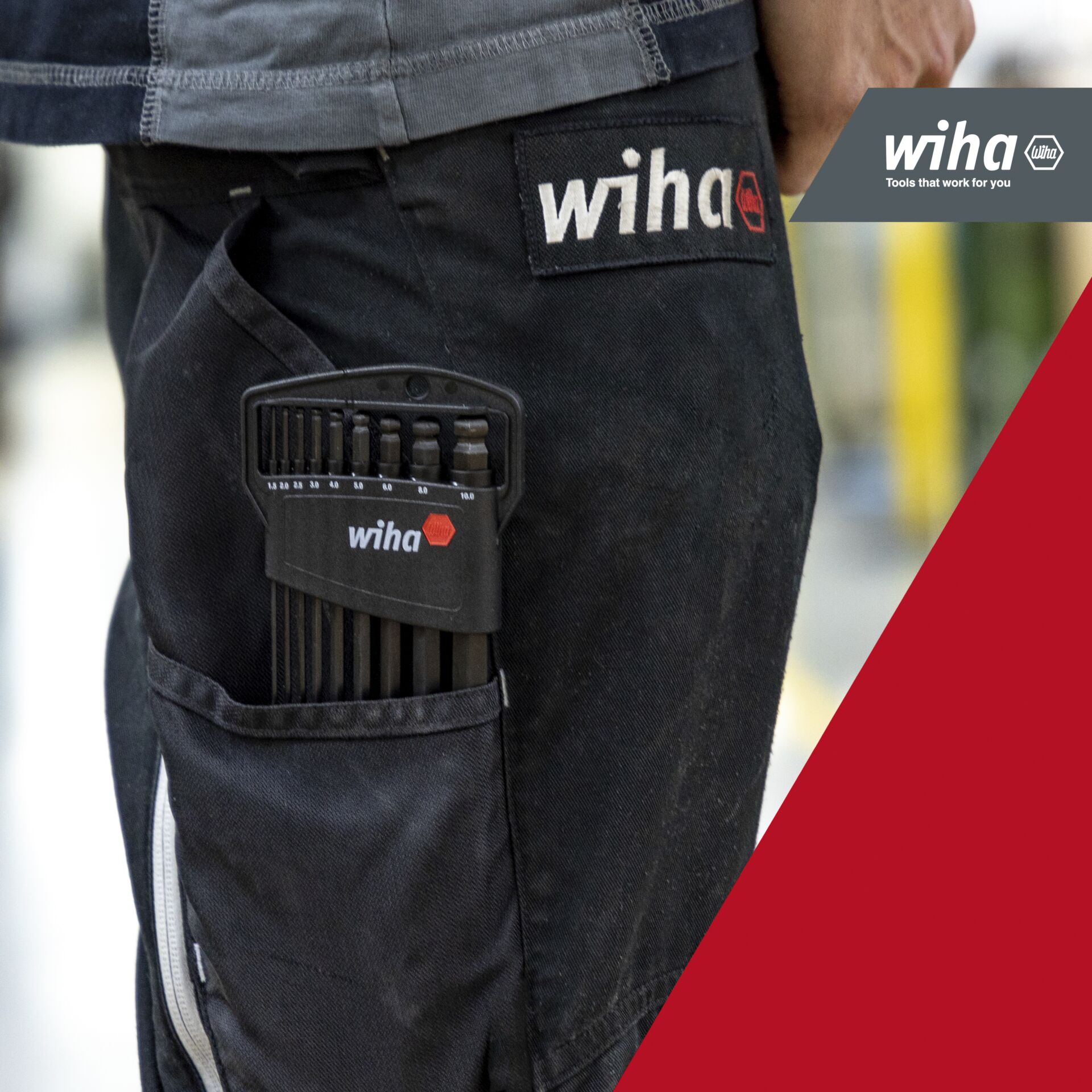 Hosen, Erwachsener, Männlich, Mann, Person