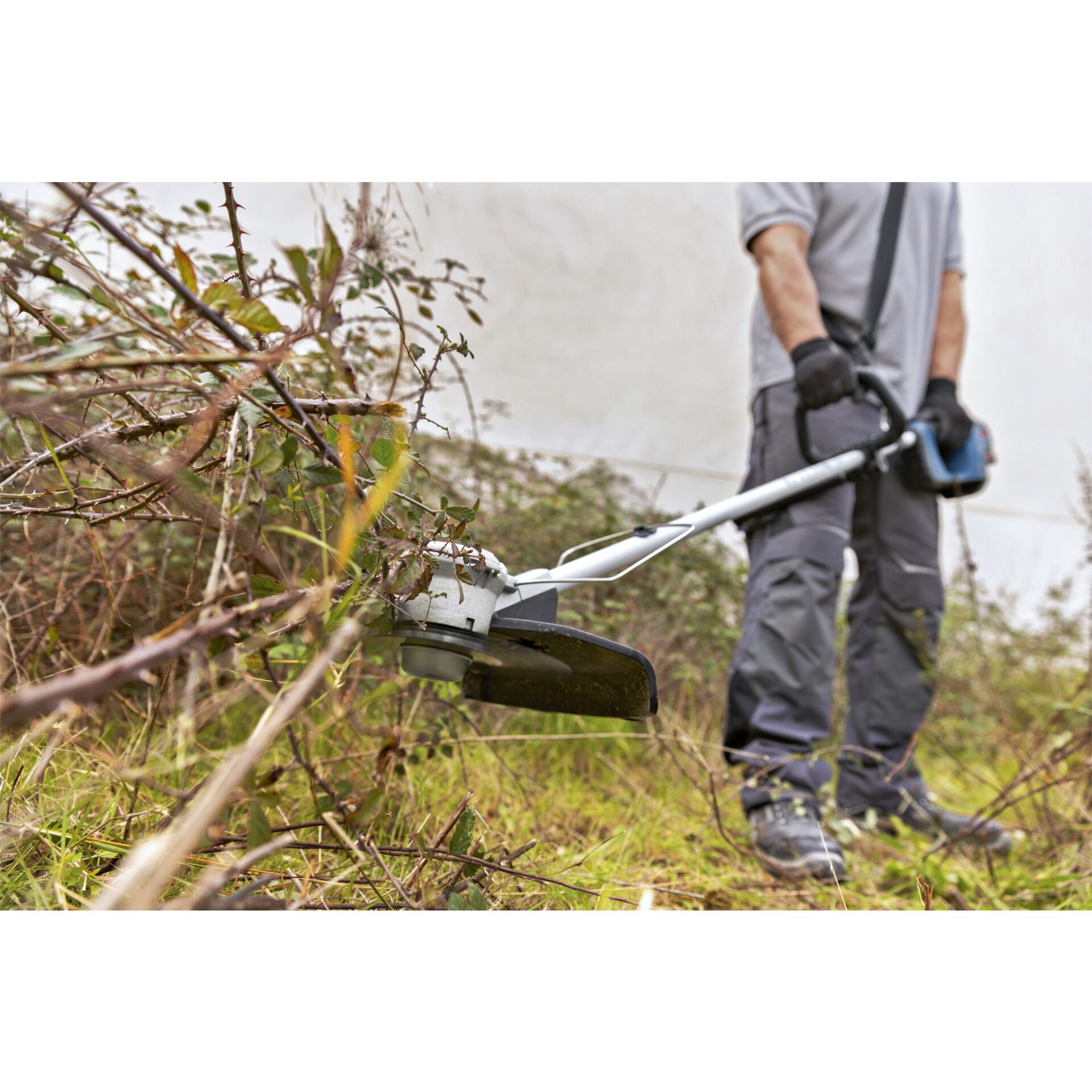 Gras, Rasen, Pflanze, Gerät, Rasenmäher