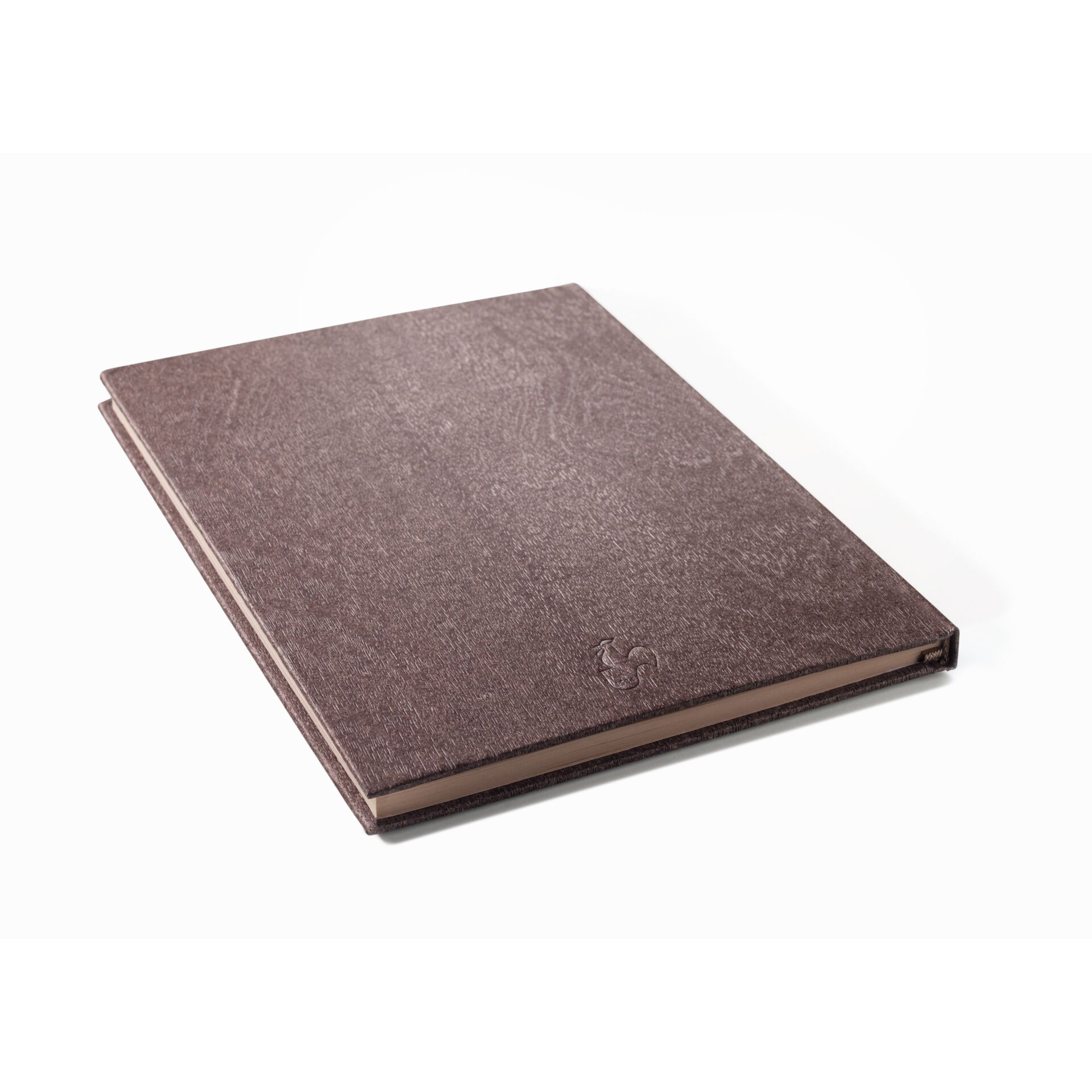 Tagebuch, Buch, Veröffentlichung