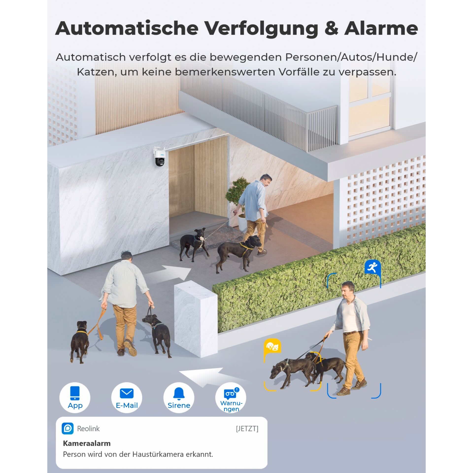 Erwachsener, Männlich, Mann, Person, Hund