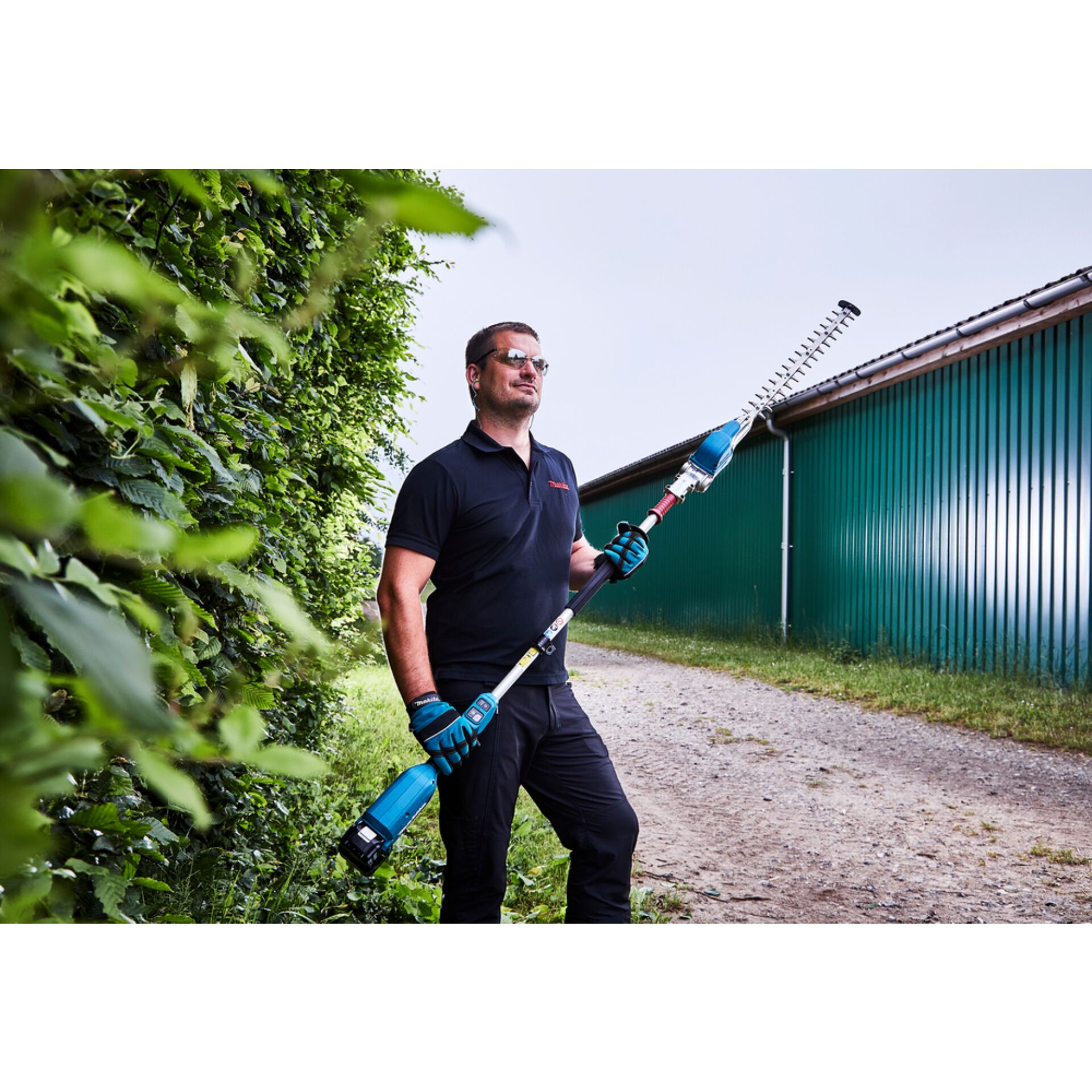 Gras, Pflanze, Drinnen, Innenarchitektur, Handschuh