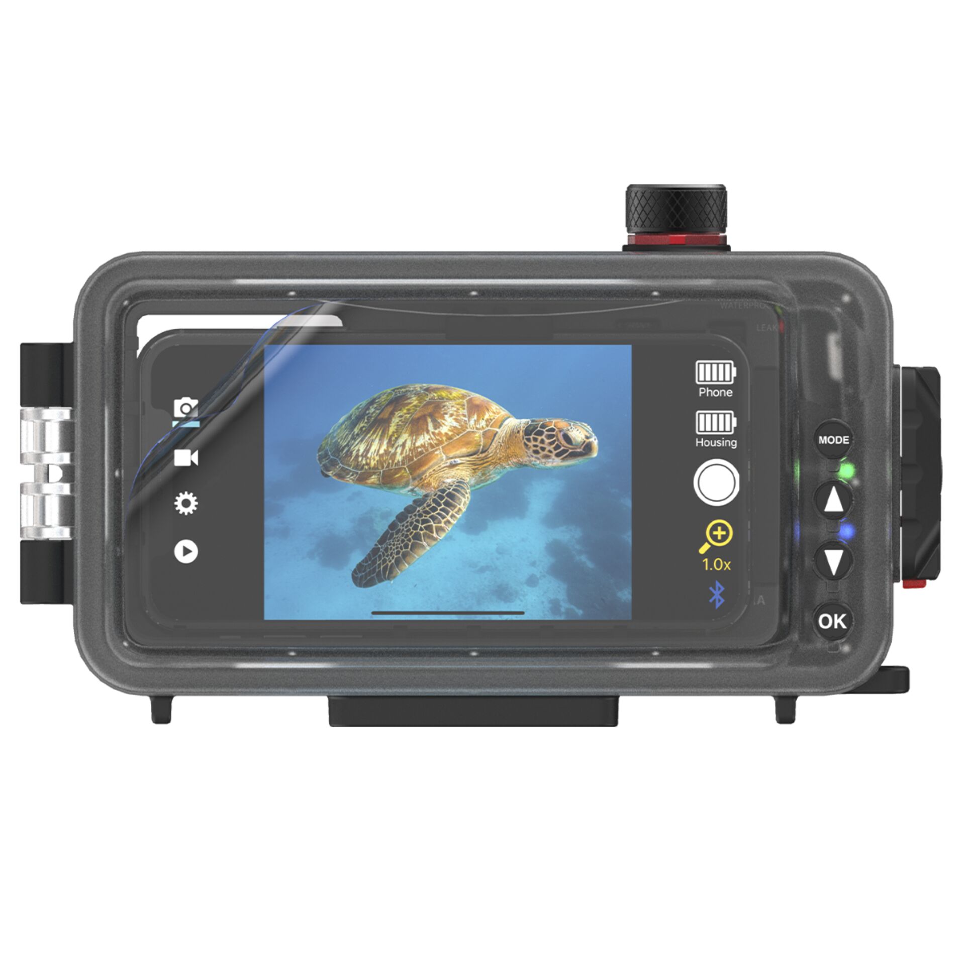 Tier, Reptil, Leben im Meer, Schildkröte, Elektronik