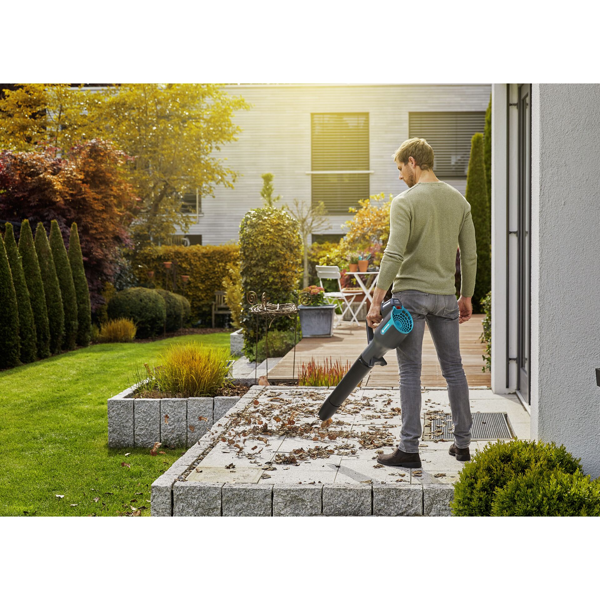 Gras, Rasen, Erwachsener, Mann, Person