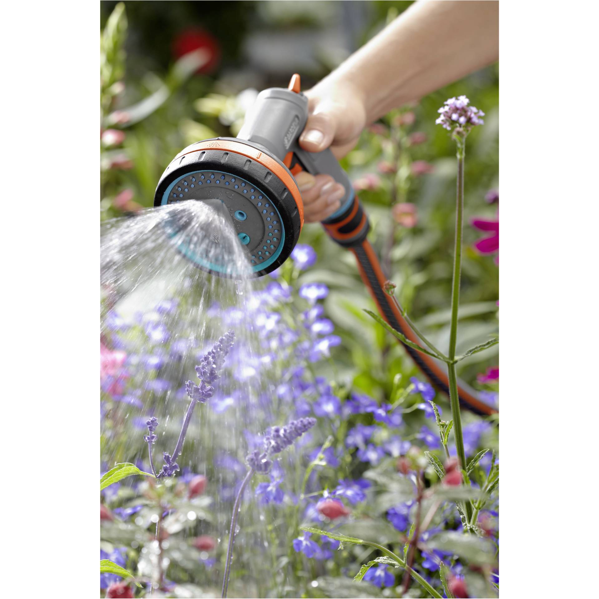 Drinnen, Garten, Natur, Draußen, Innenarchitektur