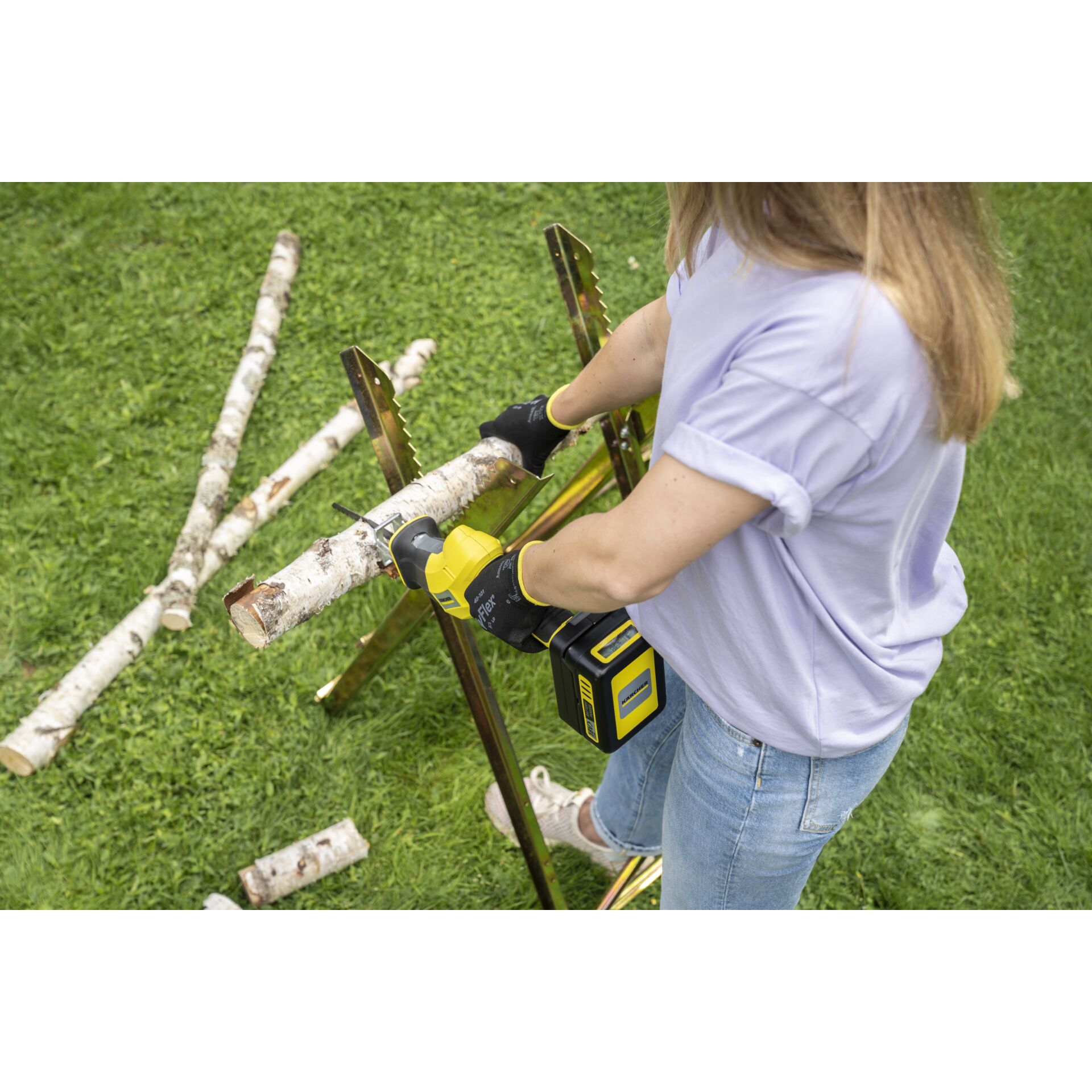 Gras, Pflanze, Drinnen, Innenarchitektur, Rasen