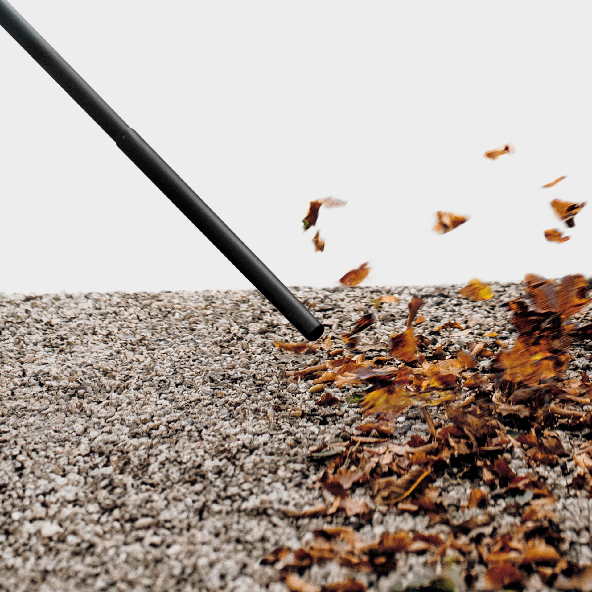 Blatt, Pflanze, Straße, Asphalt, Kies