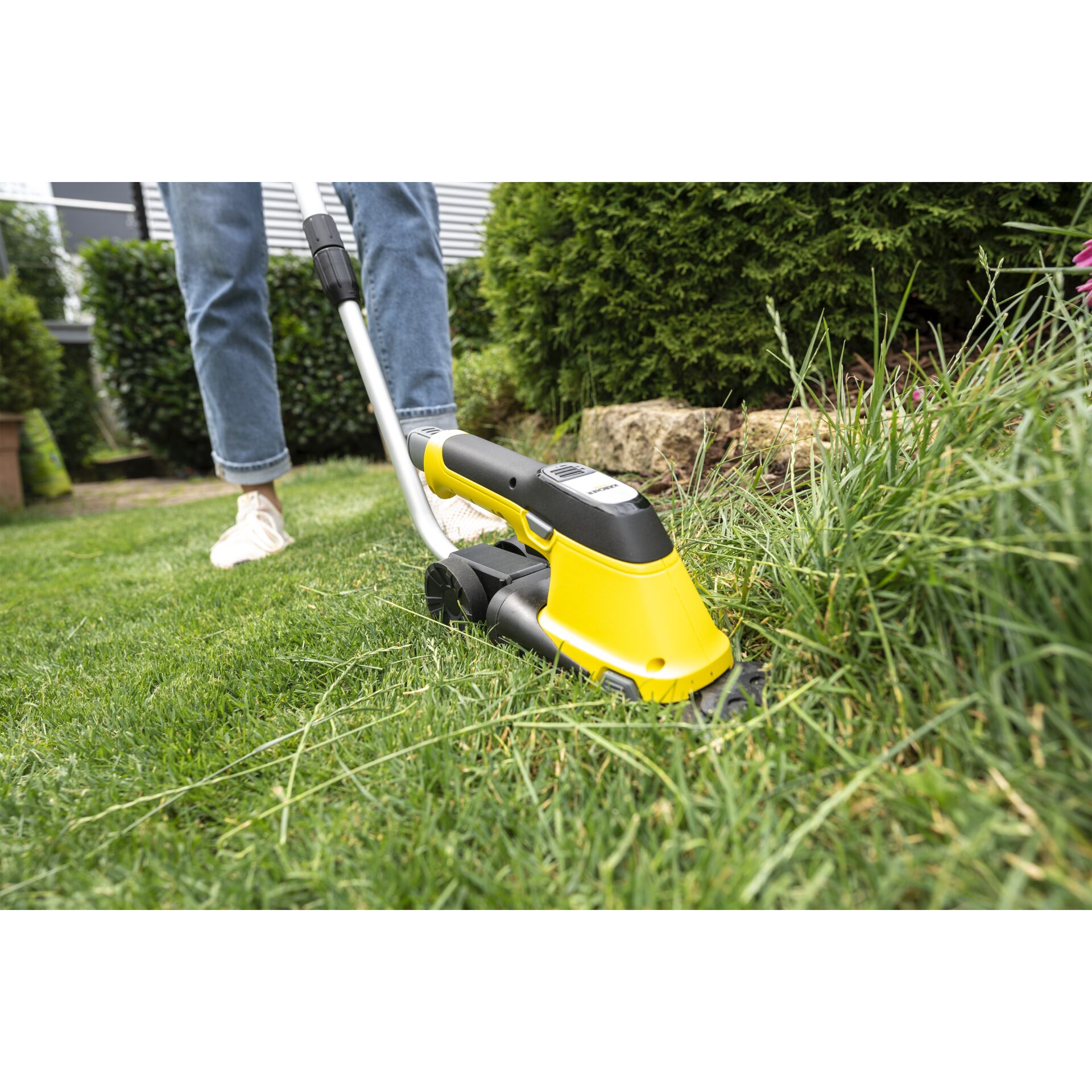 Gras, Rasen, Pflanze, Gerät