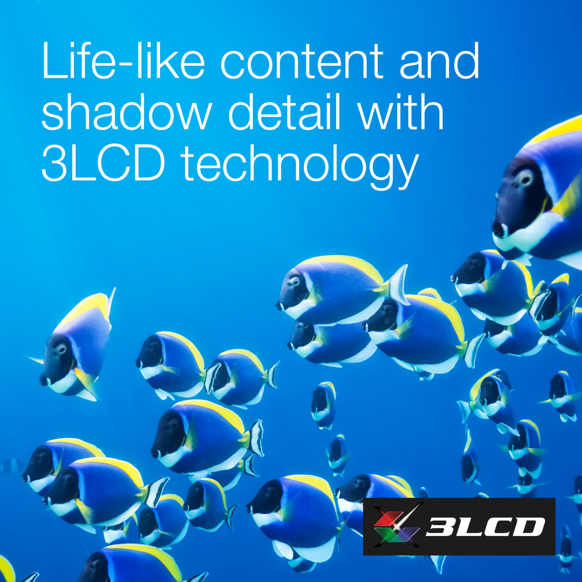 Tier, Fische, Leben im Meer