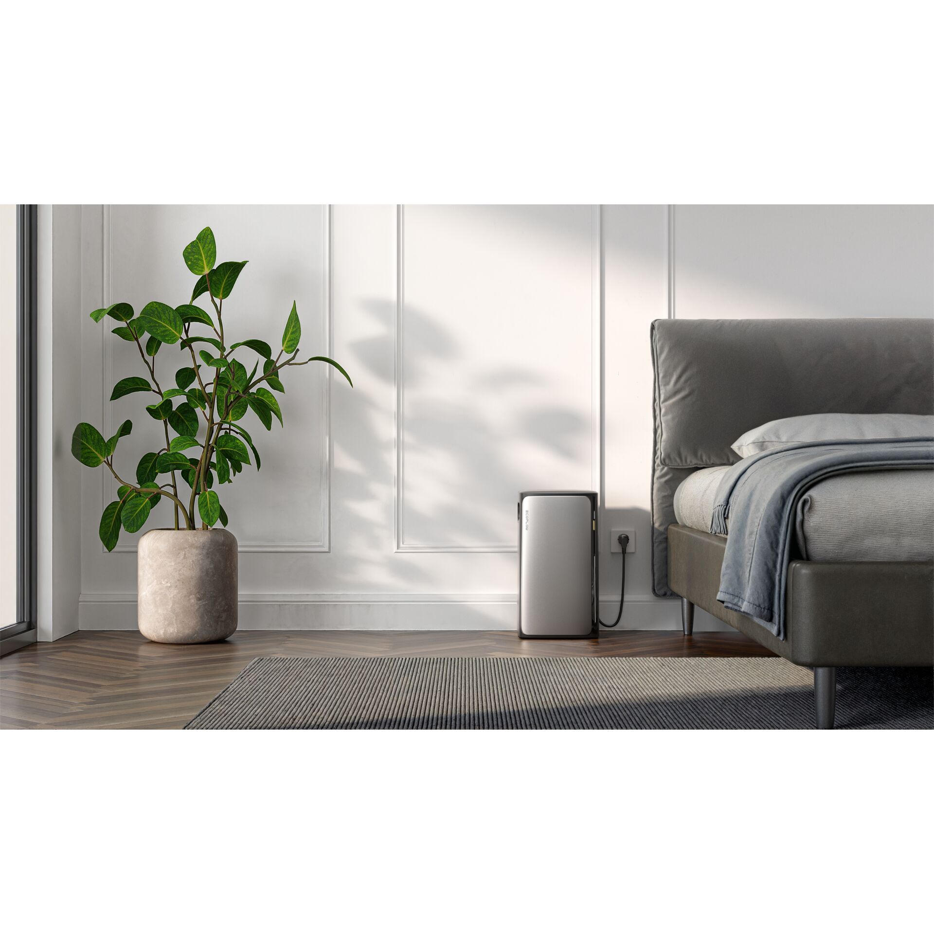 Pflanze, Pflanze im Topf, Pflanzgefäß, Töpferei, Innenarchitektur, Pflanze, Pflanze im Topf, Pflanzgefäß, Töpferei, Innenarchitektur