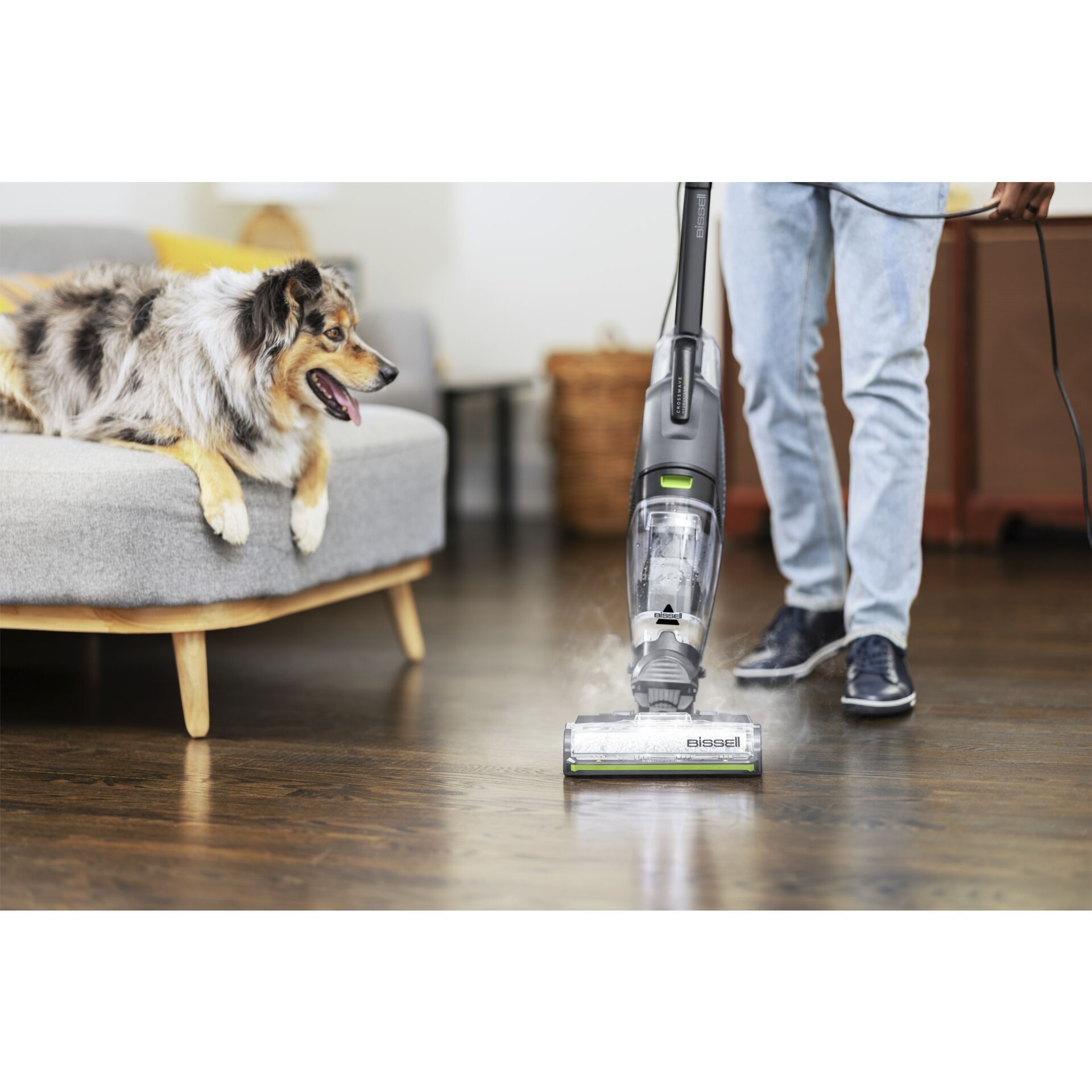 Drinnen, Innenarchitektur, E-Scooter, Fahrzeug, Hund