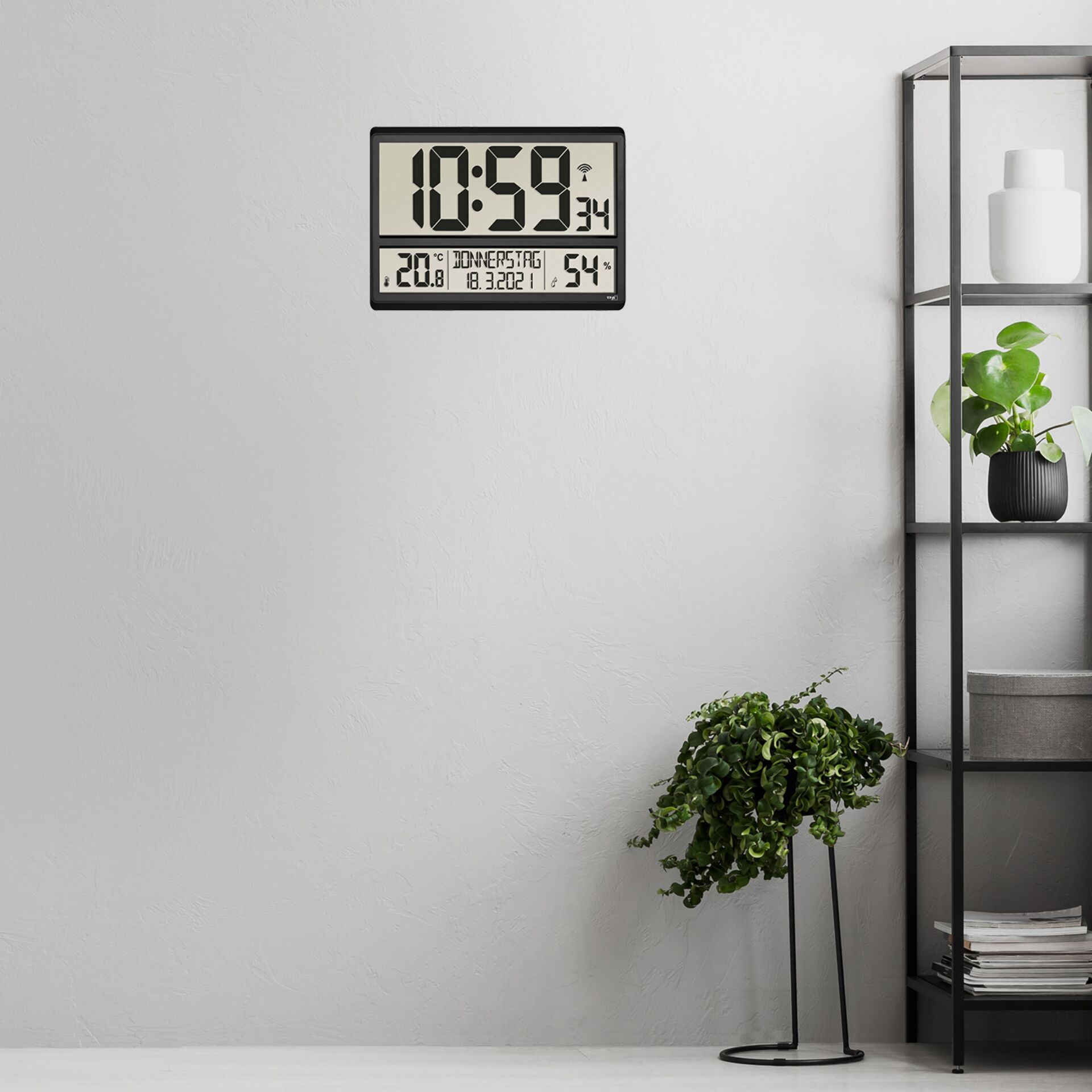 Pflanze, Pflanze im Topf