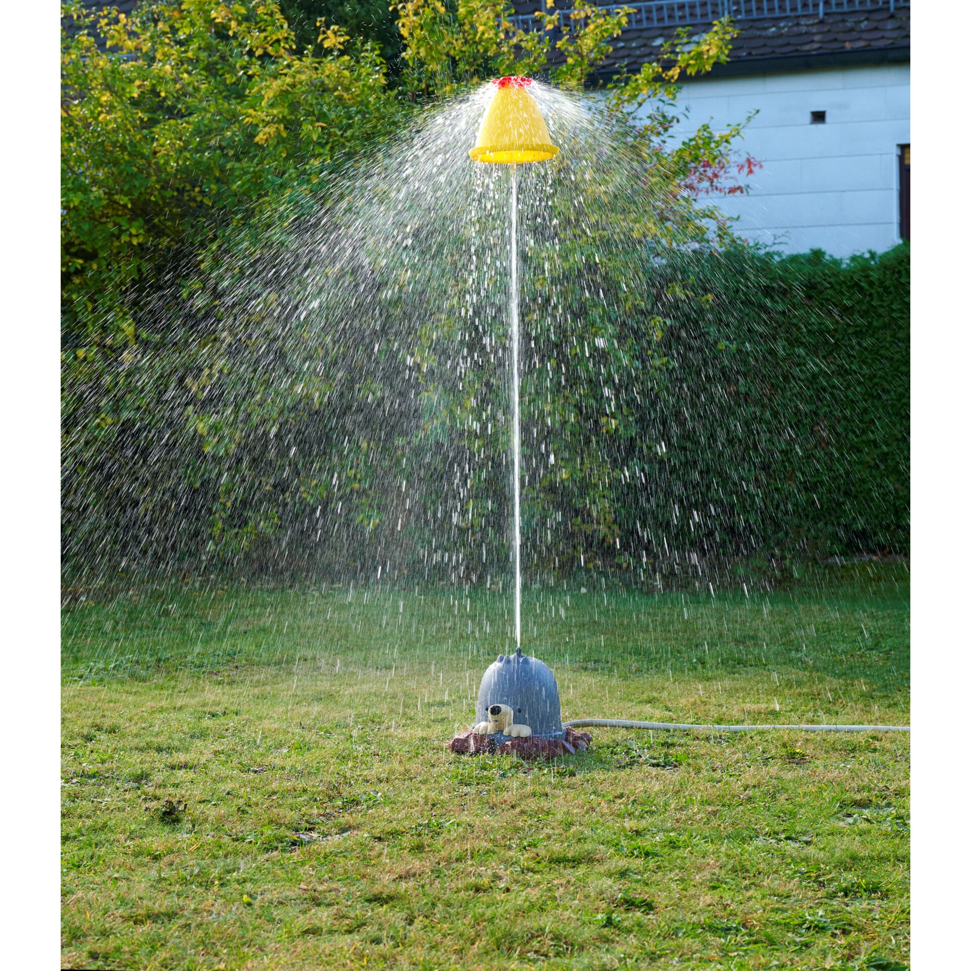 Gras, Pflanze, Wasser, Maschine