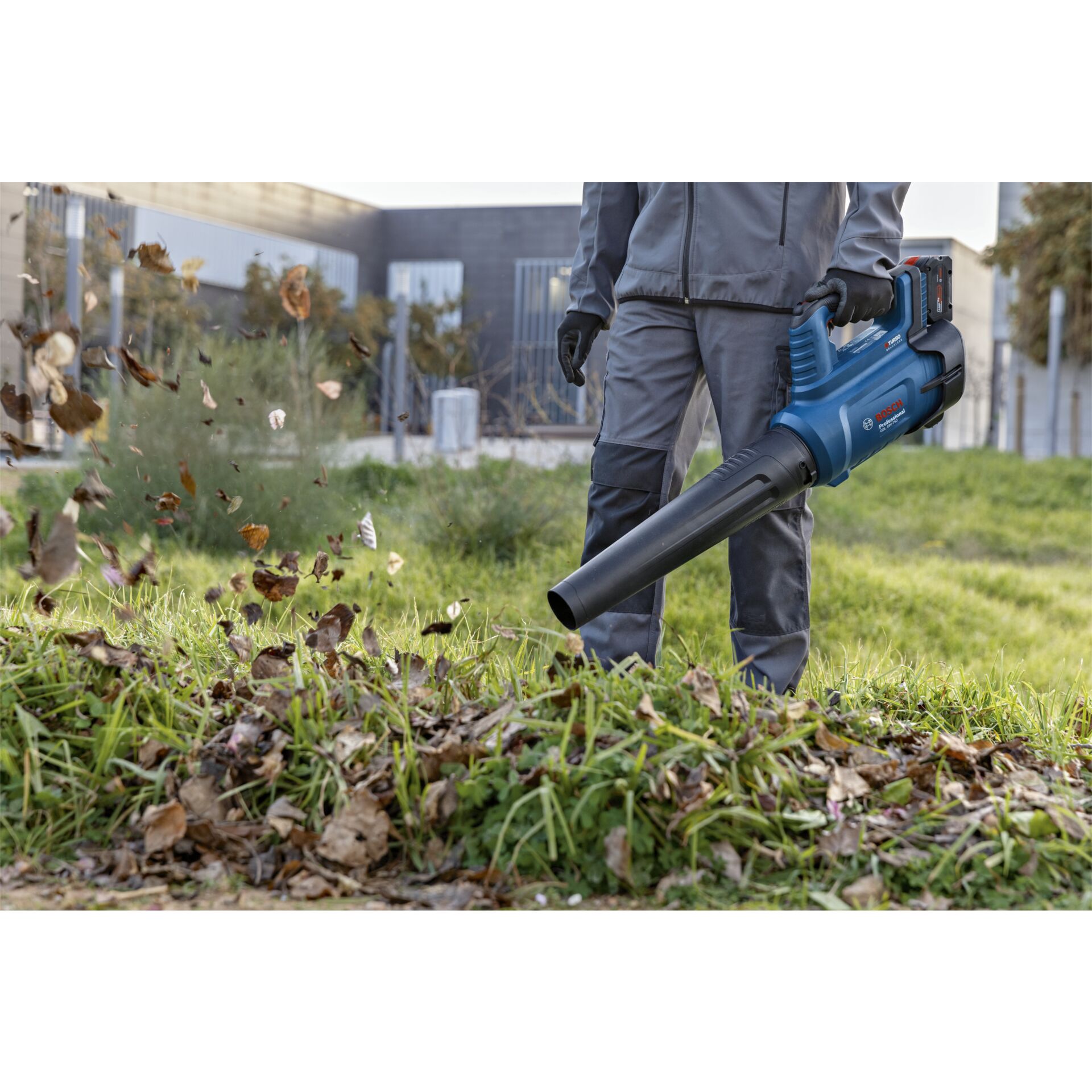 Gras, Rasen, Pflanze, Gerät, Elektrische Bohrmaschine