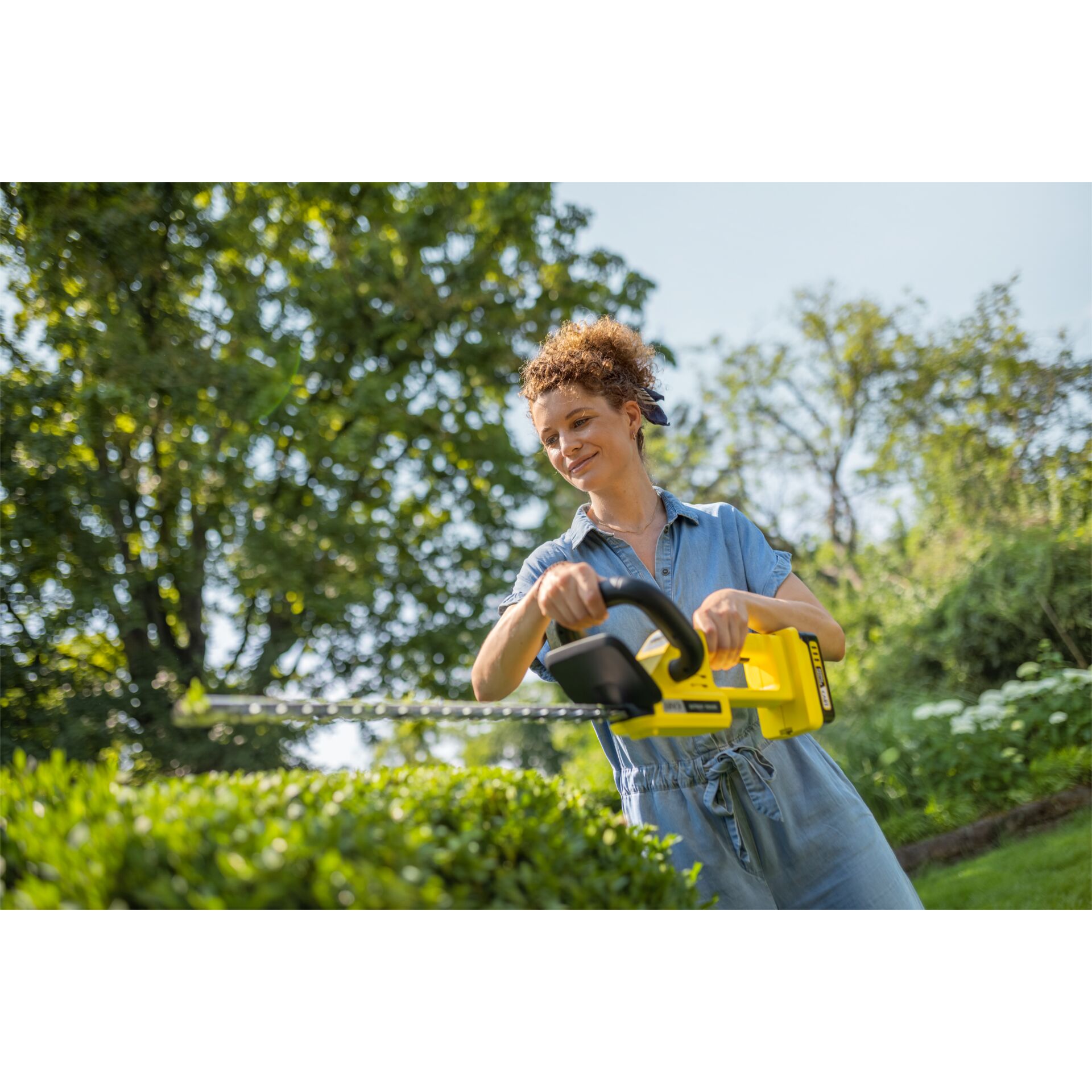 Gras, Pflanze, Innenarchitektur, Person, Gerät