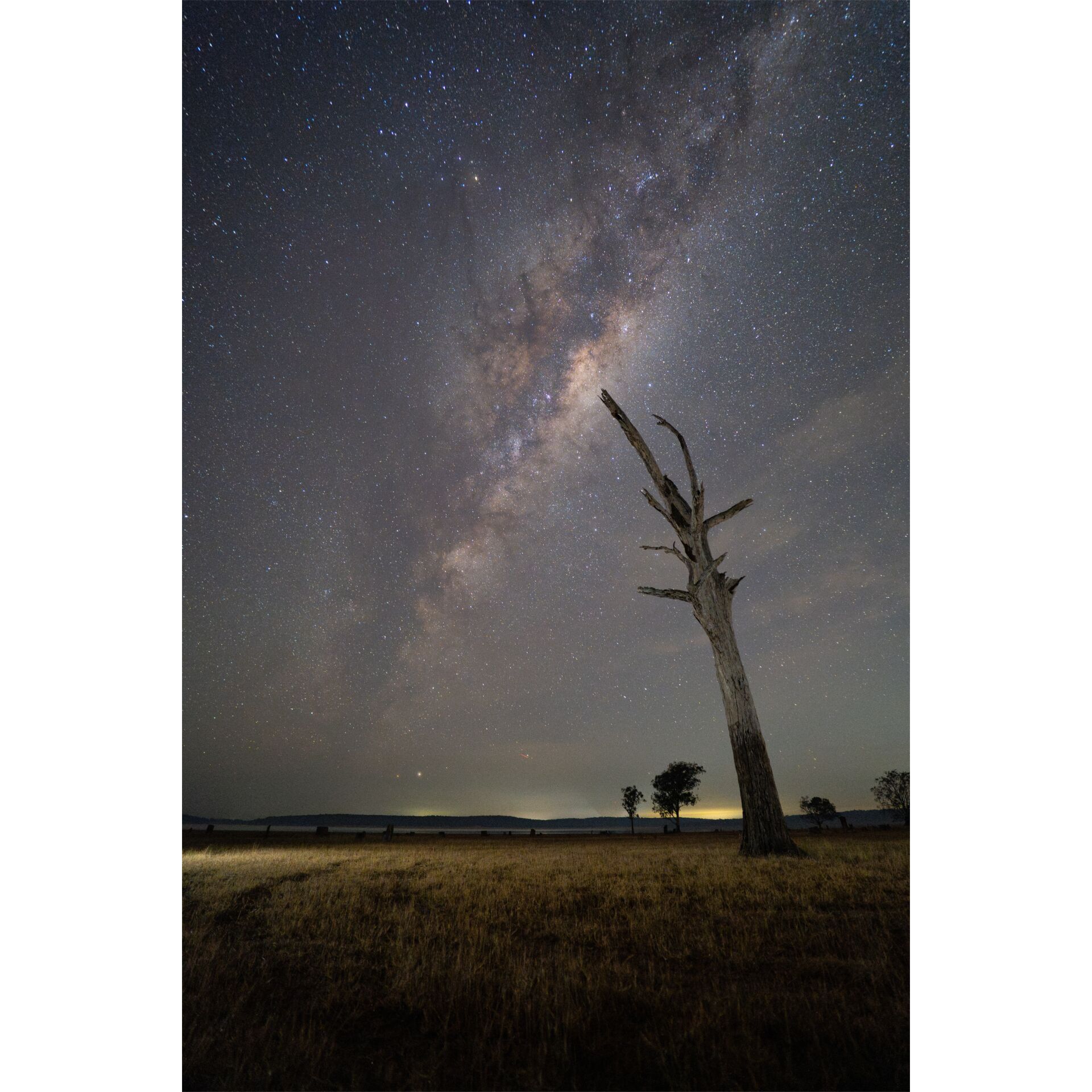 Natur, Nacht, Baum, Landschaft, Himmel, Natur, Nacht, Baum, Landschaft, Himmel