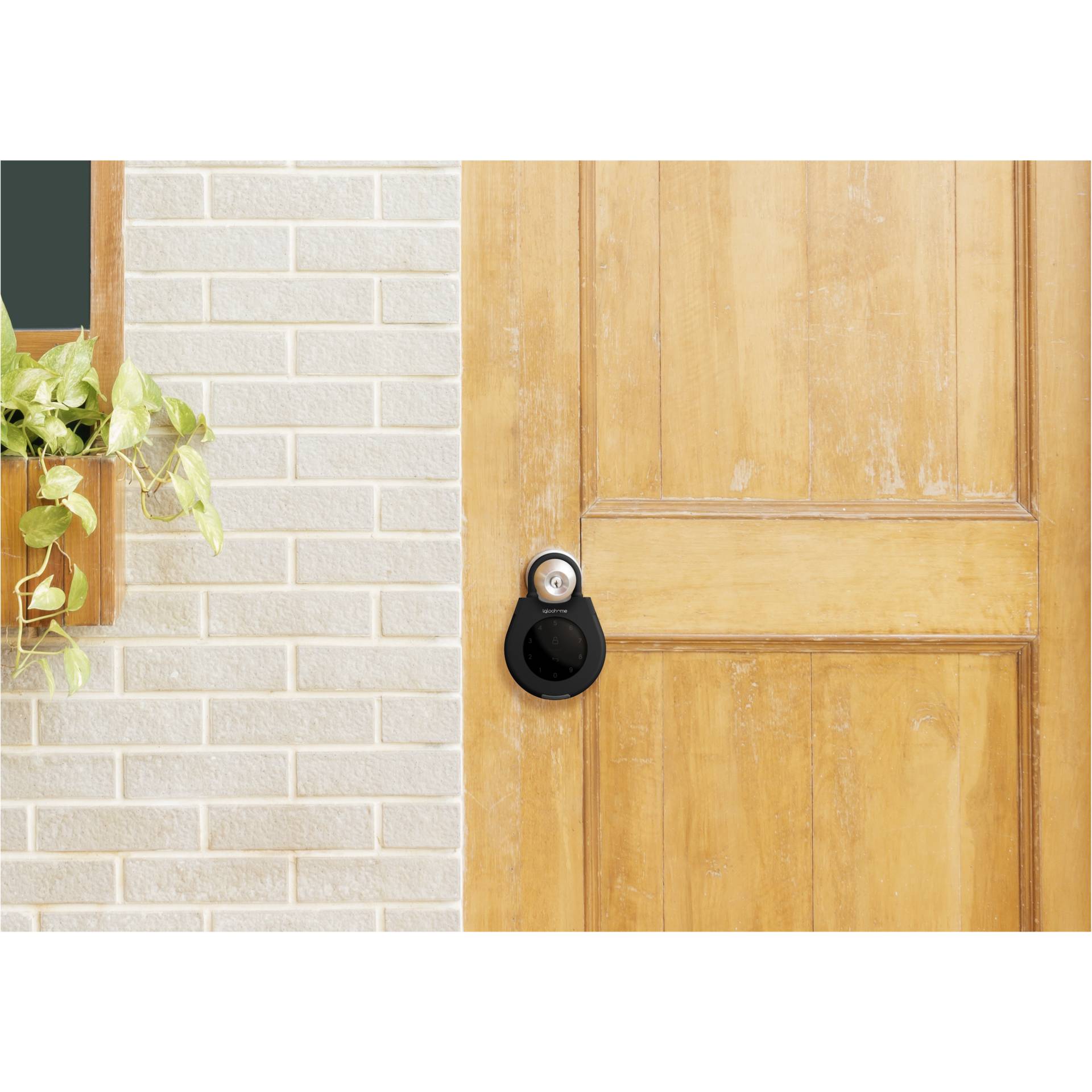 Drinnen, Innenarchitektur, Tür, Holz, Pflanze